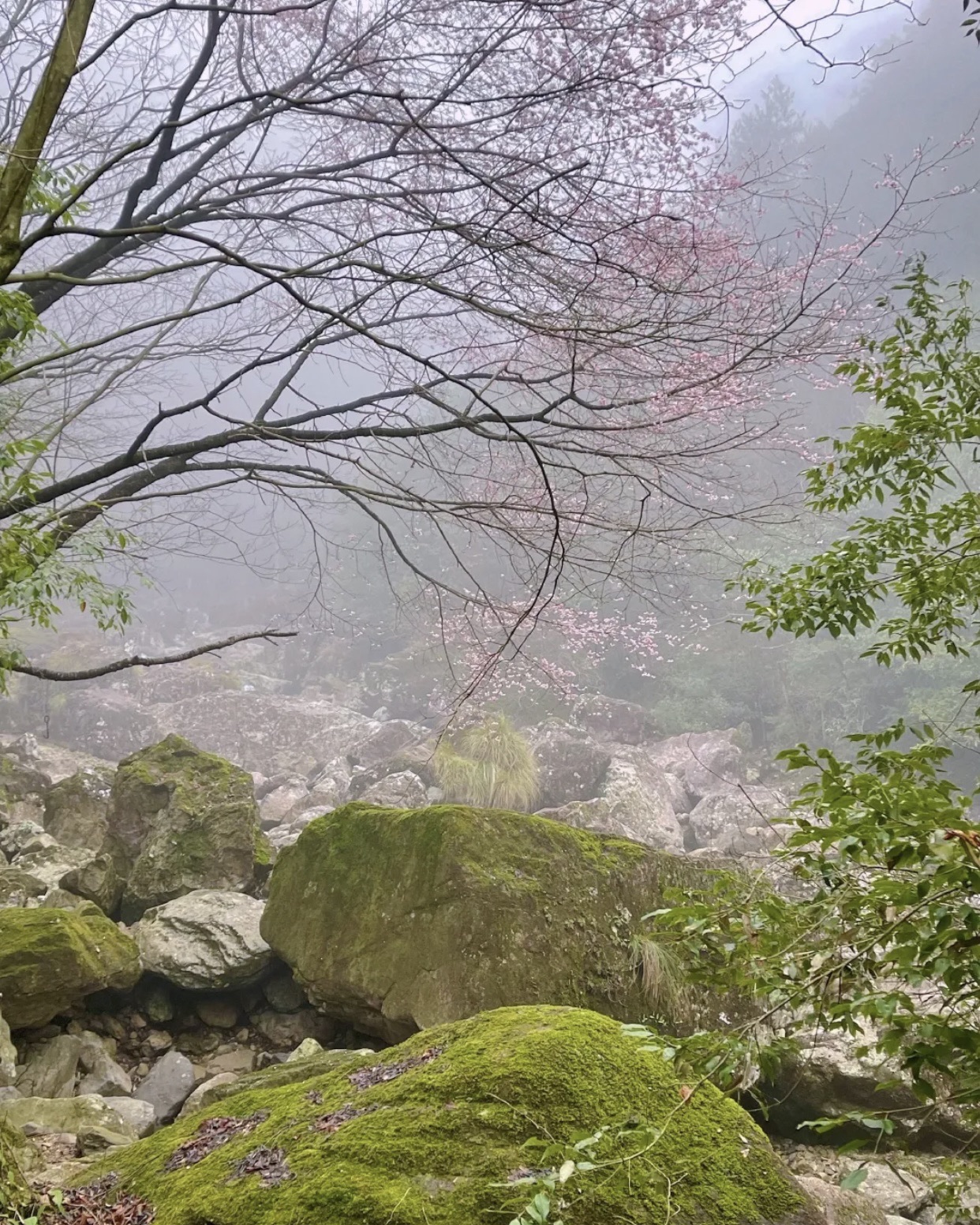 十门峡景区