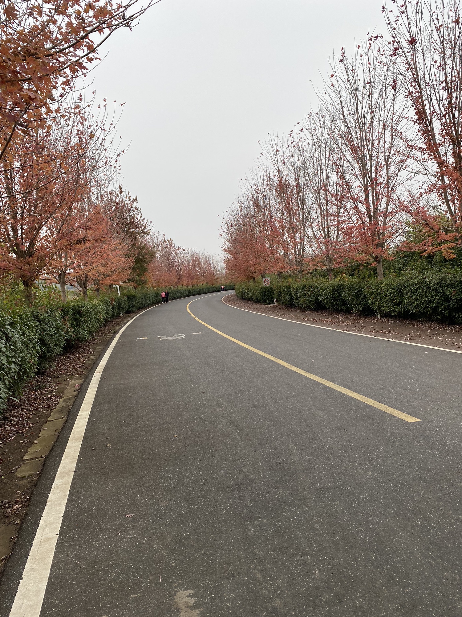 南京六合止马岭森林公园