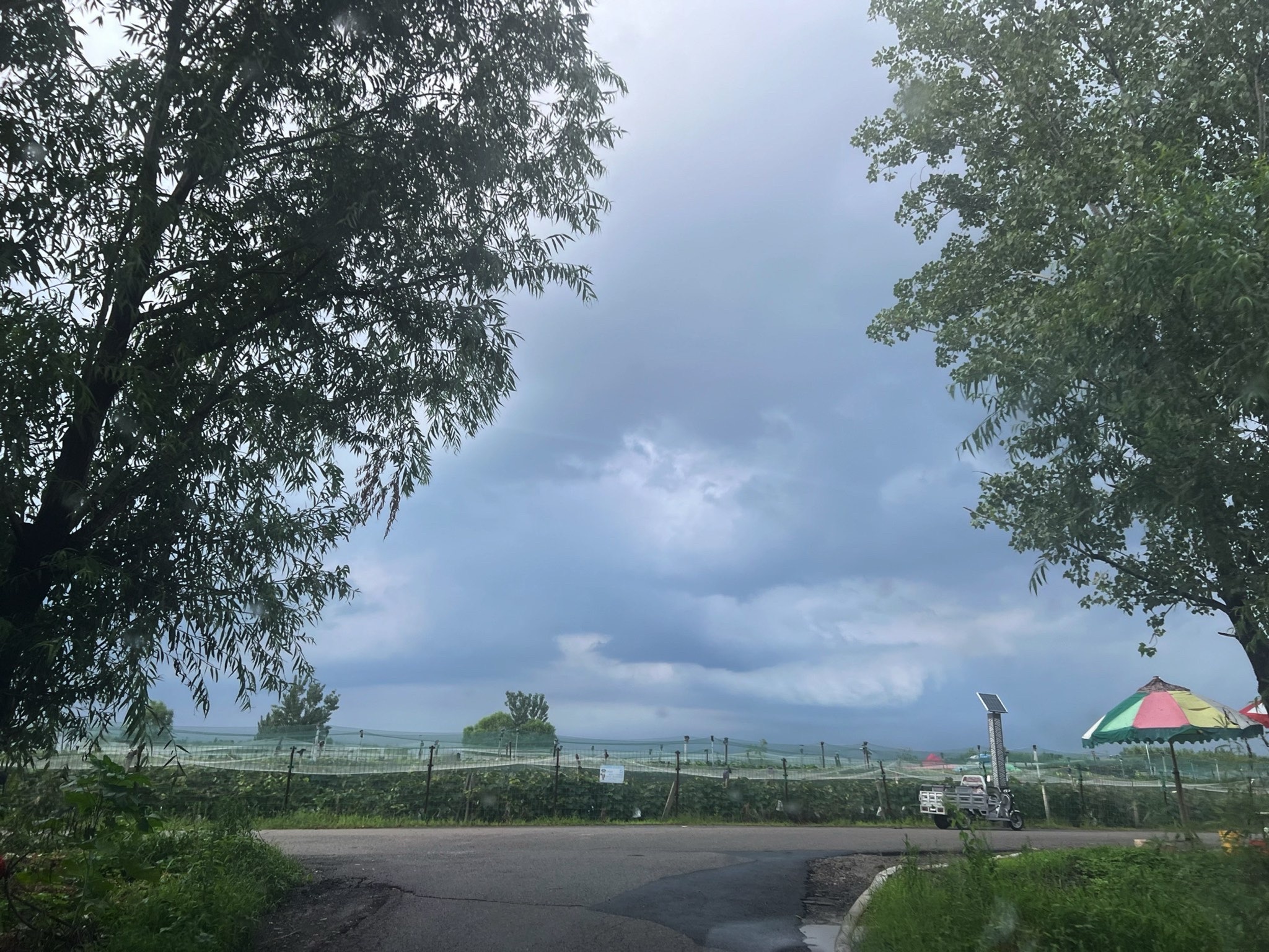 安国湖国家湿地公园旅行图片