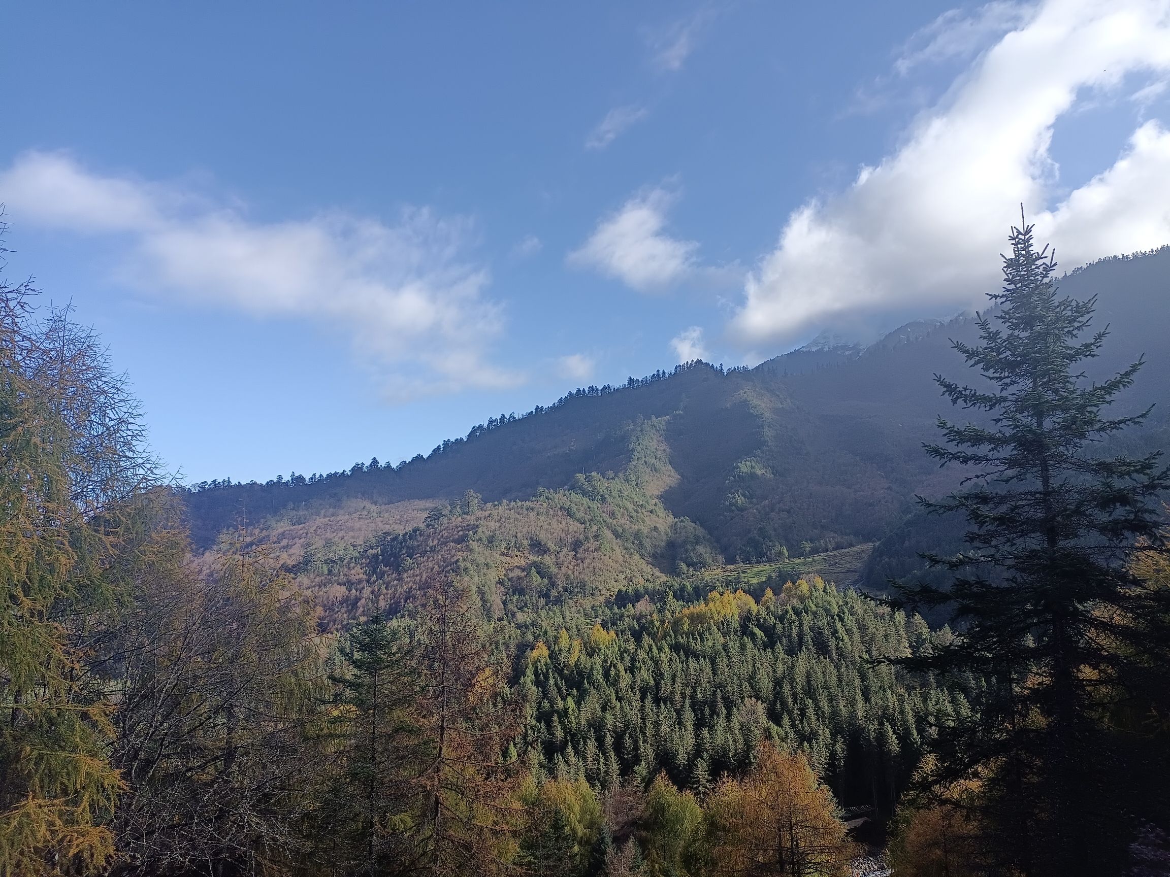 东拉山大峡谷