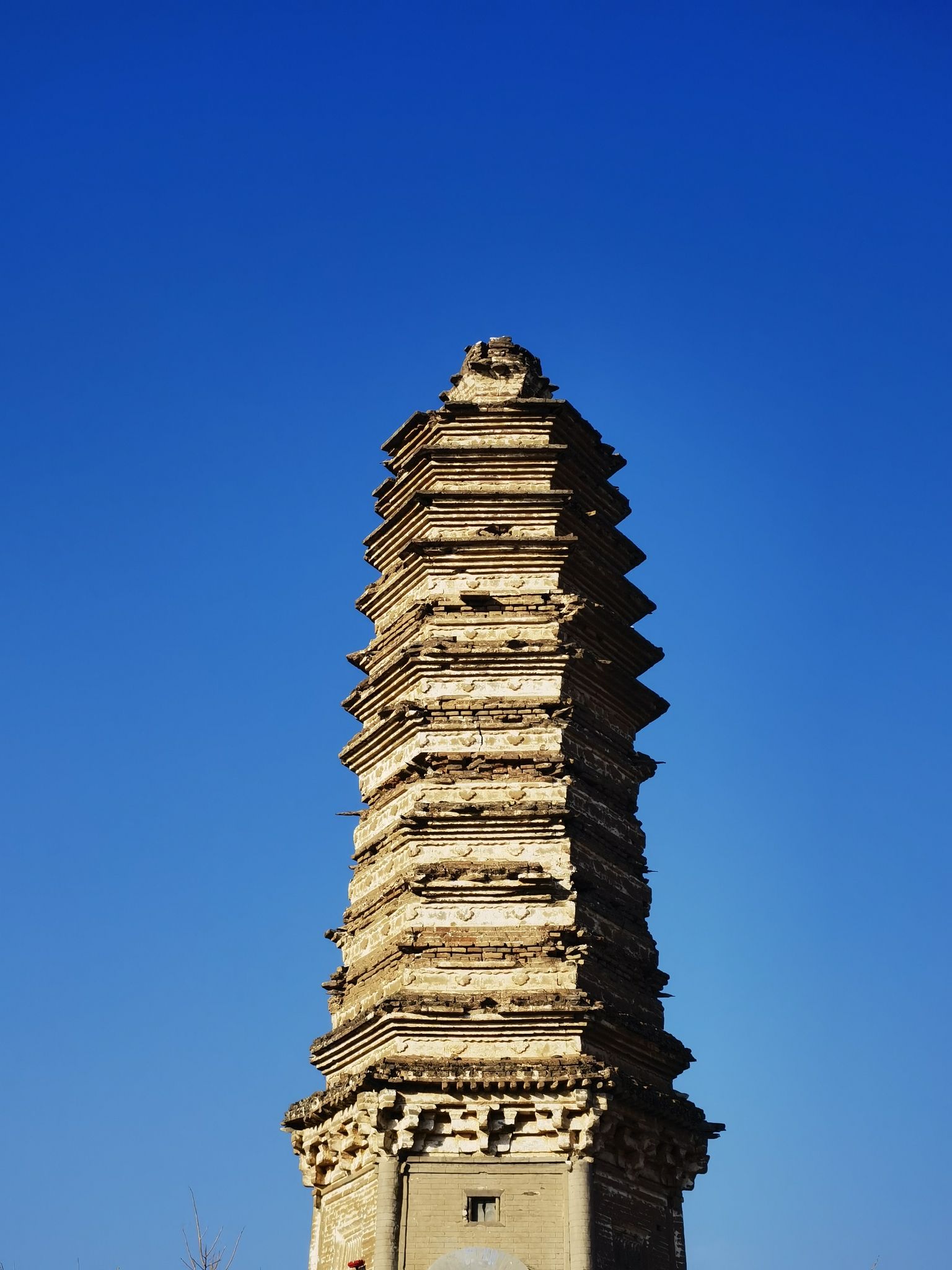佛真猞猁迤逻尼塔旅行图片