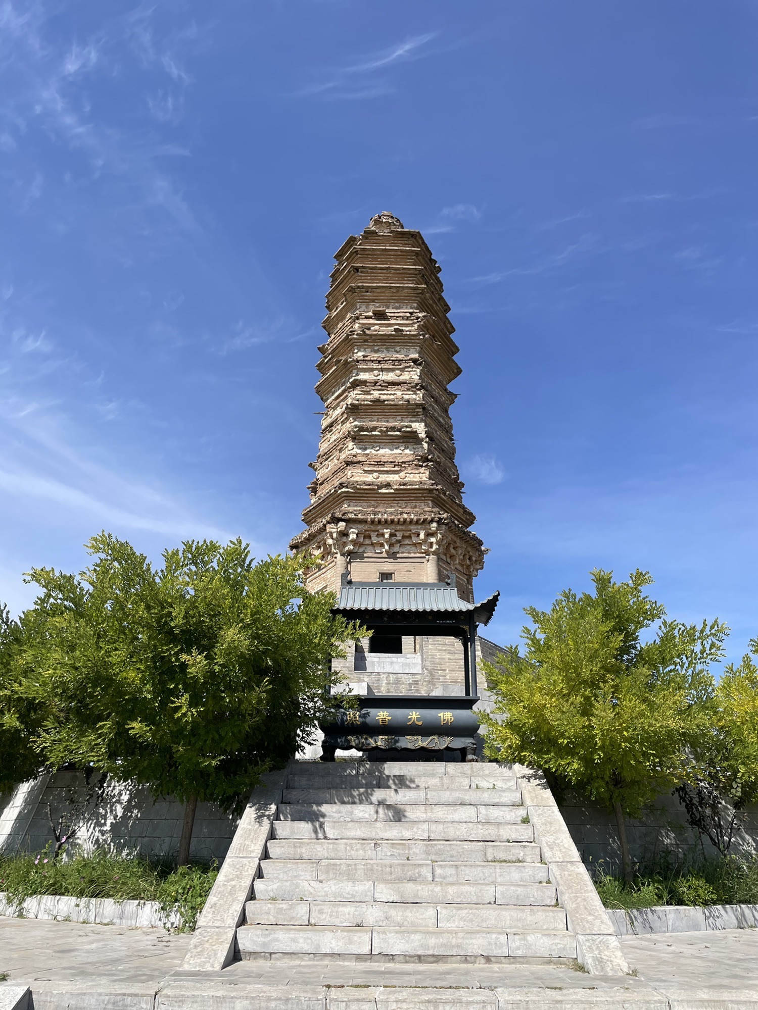 佛真猞猁迤逻尼塔旅行图片