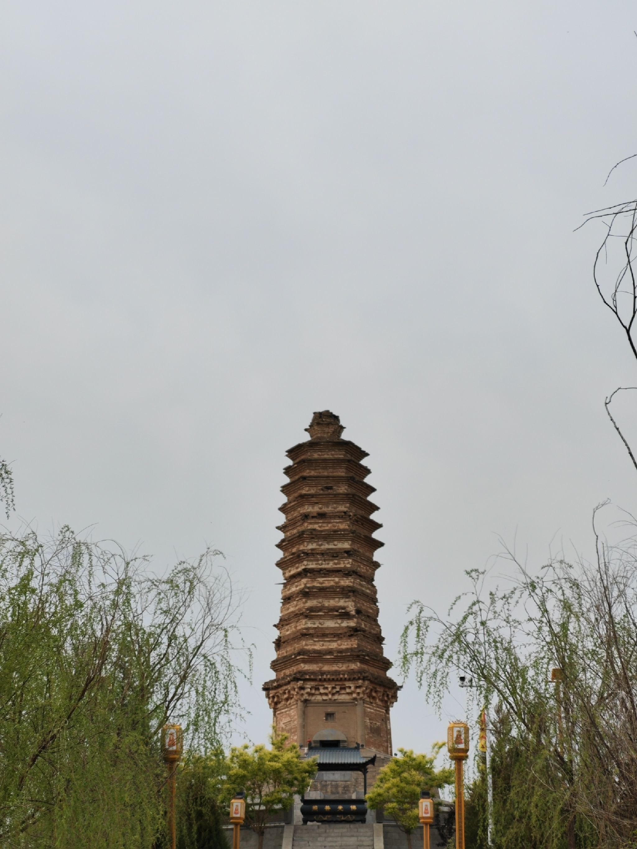 佛真猞猁迤逻尼塔旅行图片
