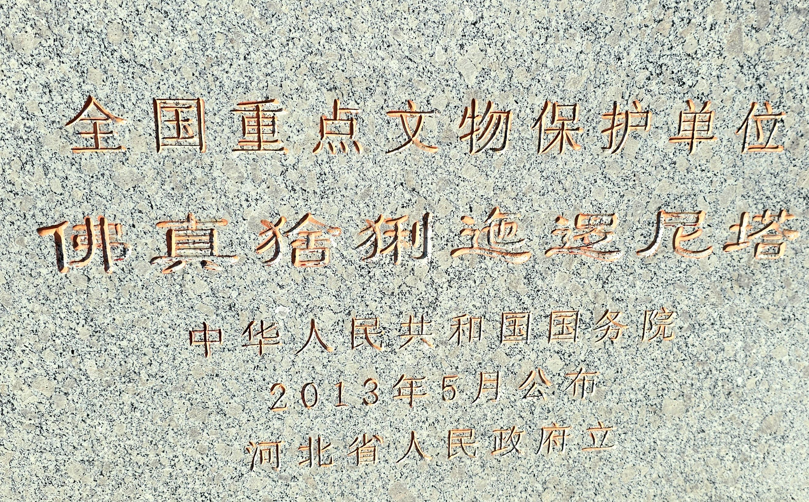 佛真猞猁迤逻尼塔旅行图片