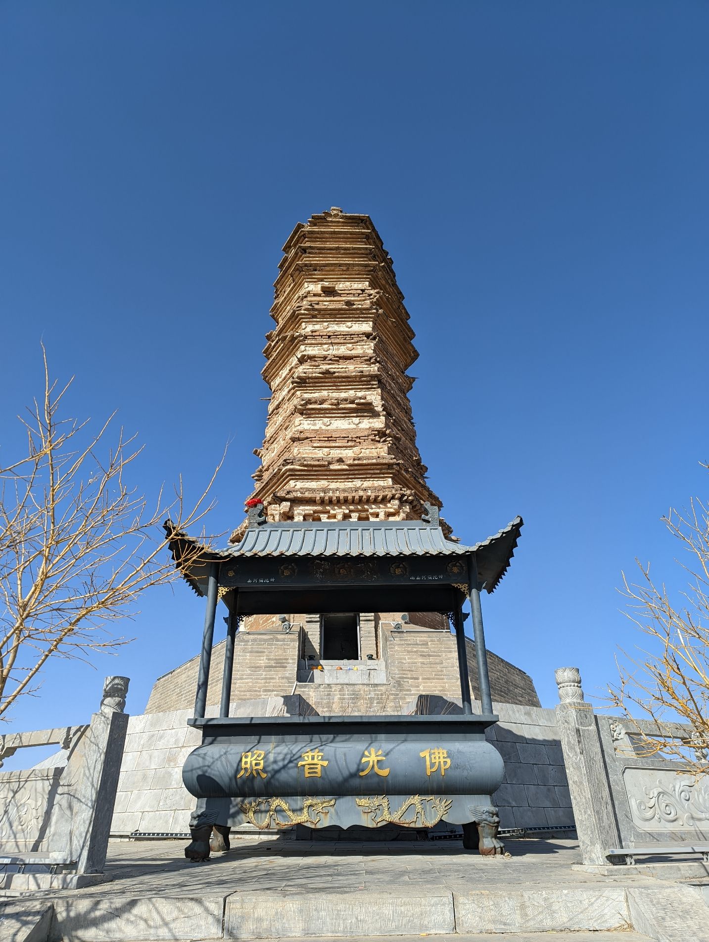 佛真猞猁迤逻尼塔旅行图片