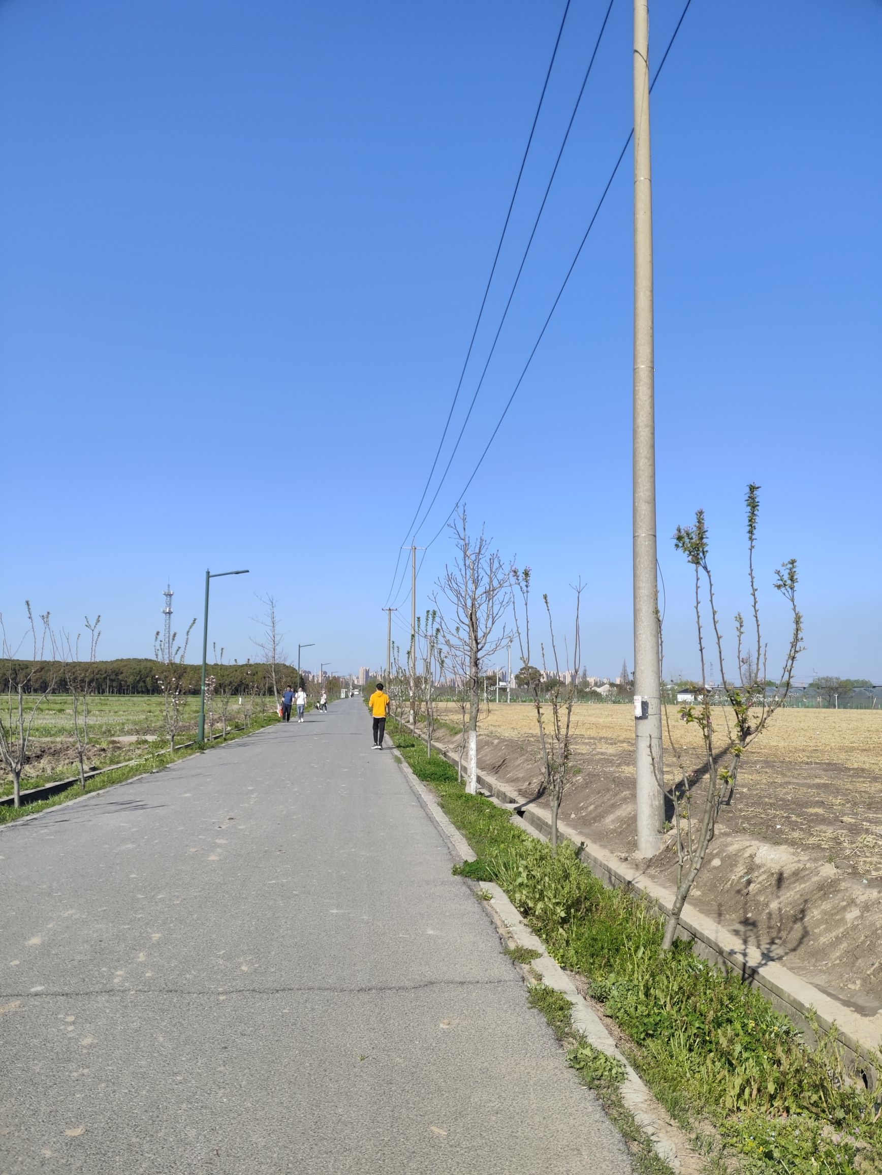 嘉北郊野公园