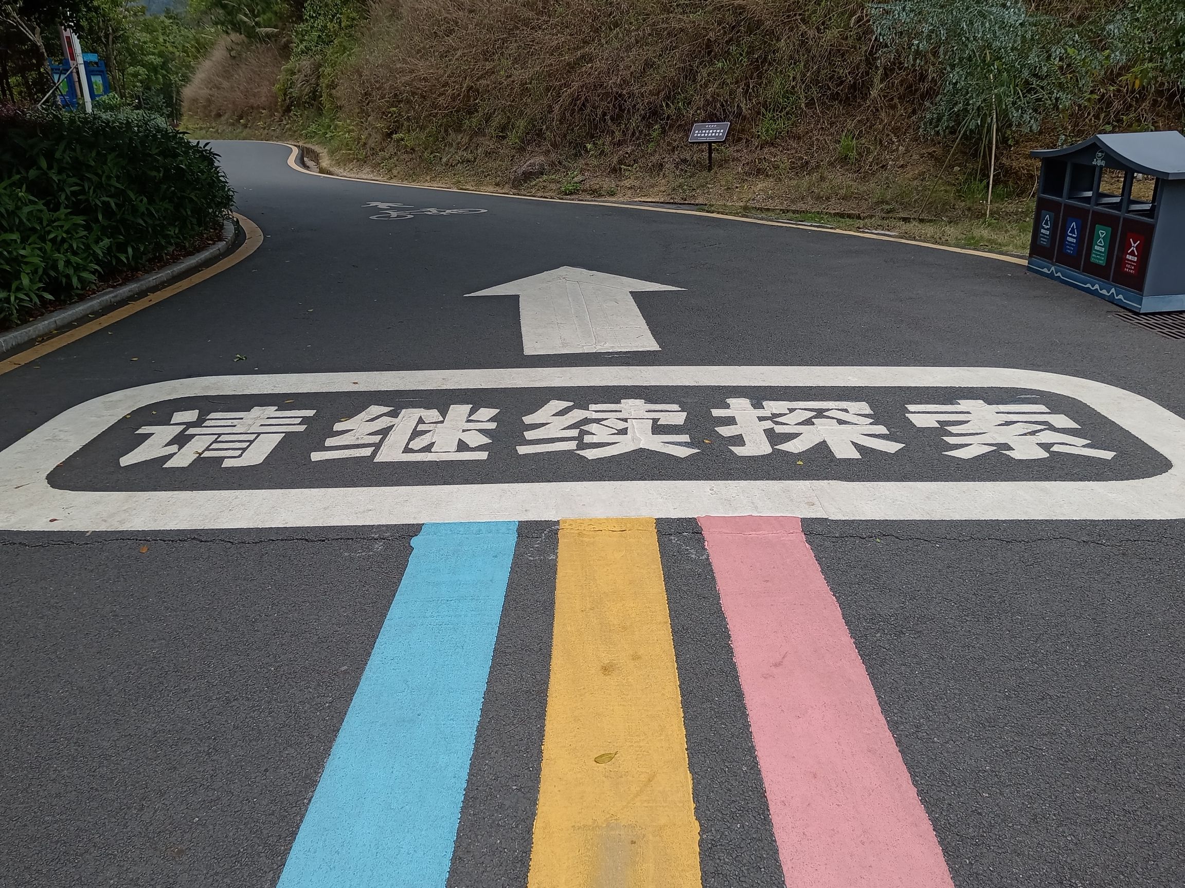 新丰江森林公园-九里湖畔旅行图片
