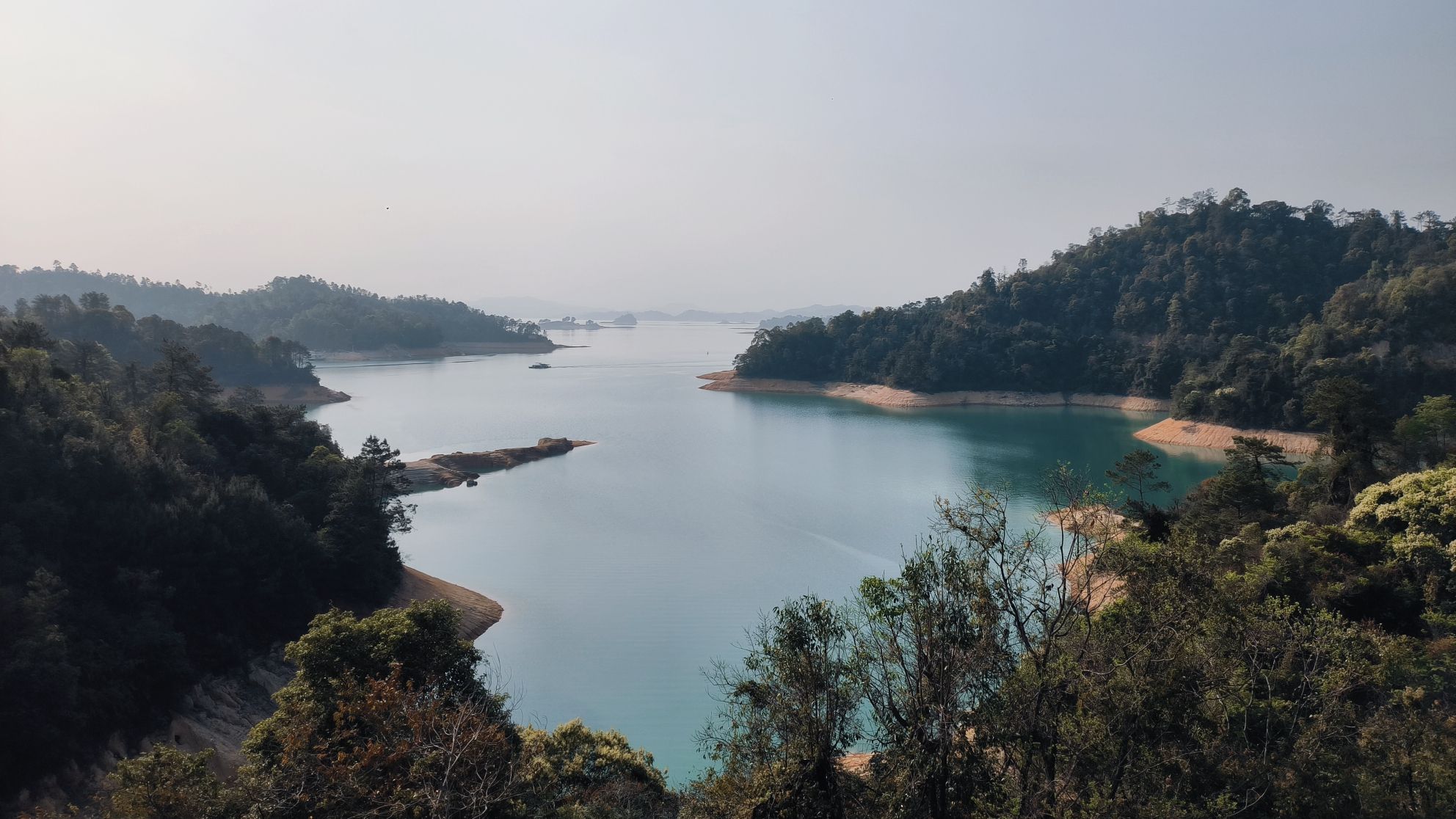 新丰江森林公园-九里湖畔旅行图片