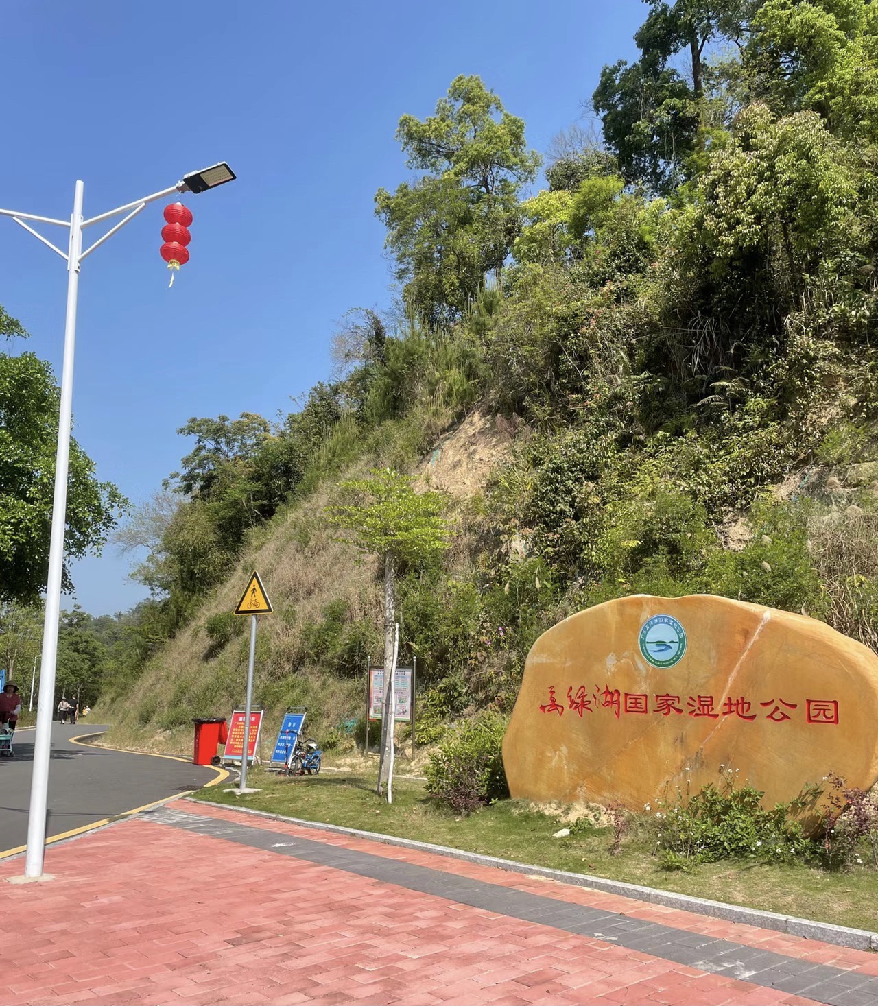 新丰江森林公园-九里湖畔旅行图片