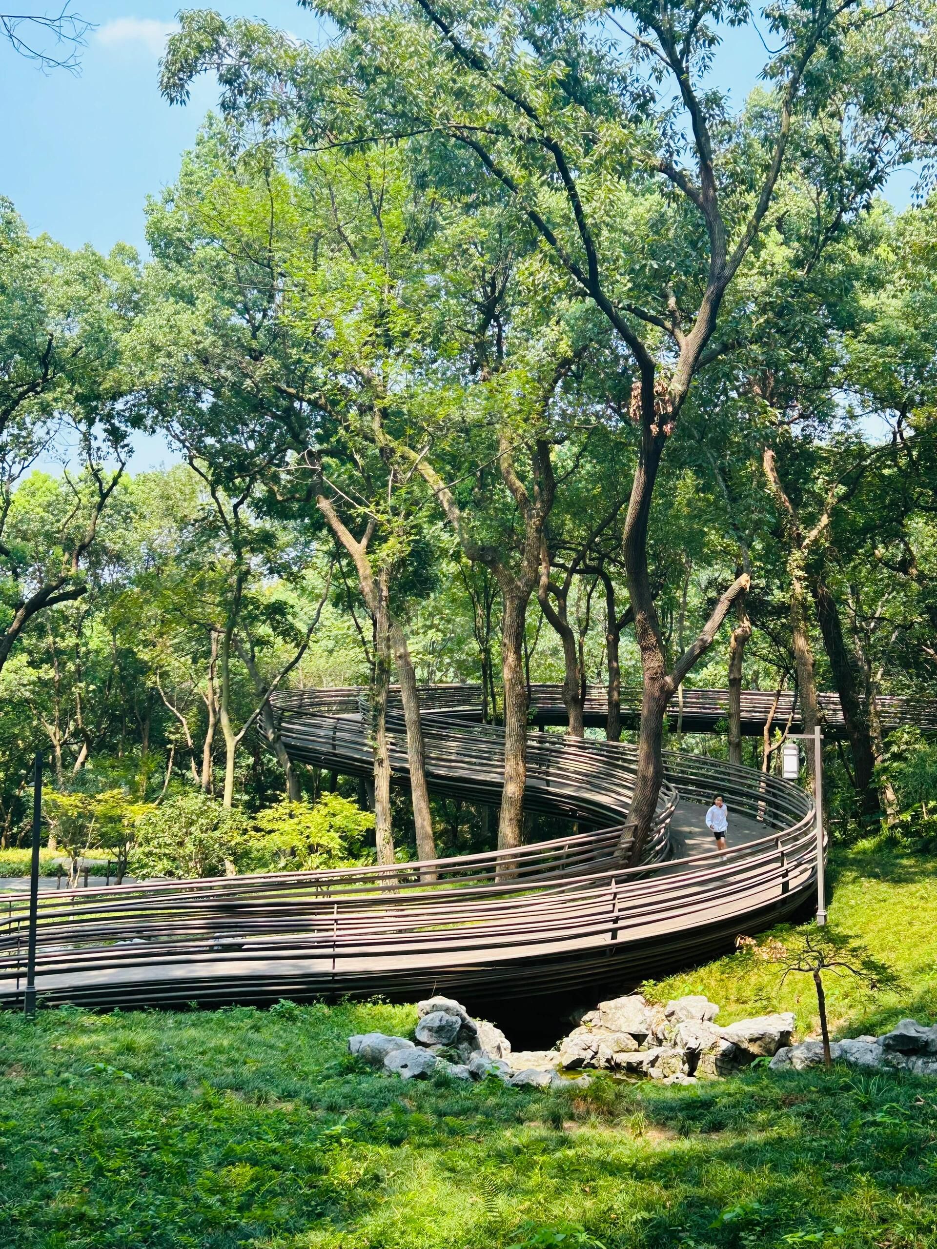 玉皇山国家森林公园旅行图片