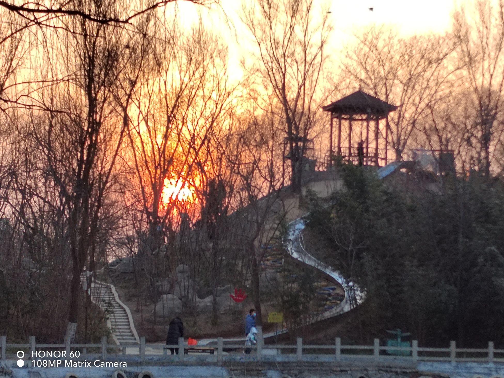 聊城动物园旅行图片