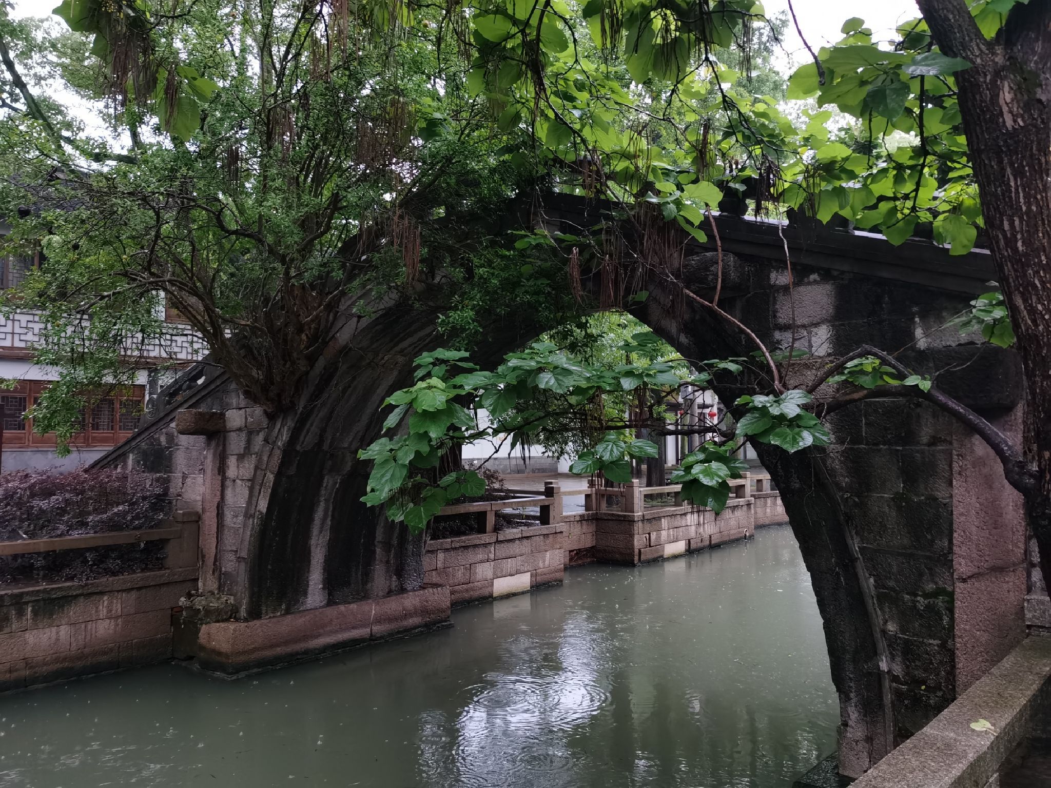 练塘古镇