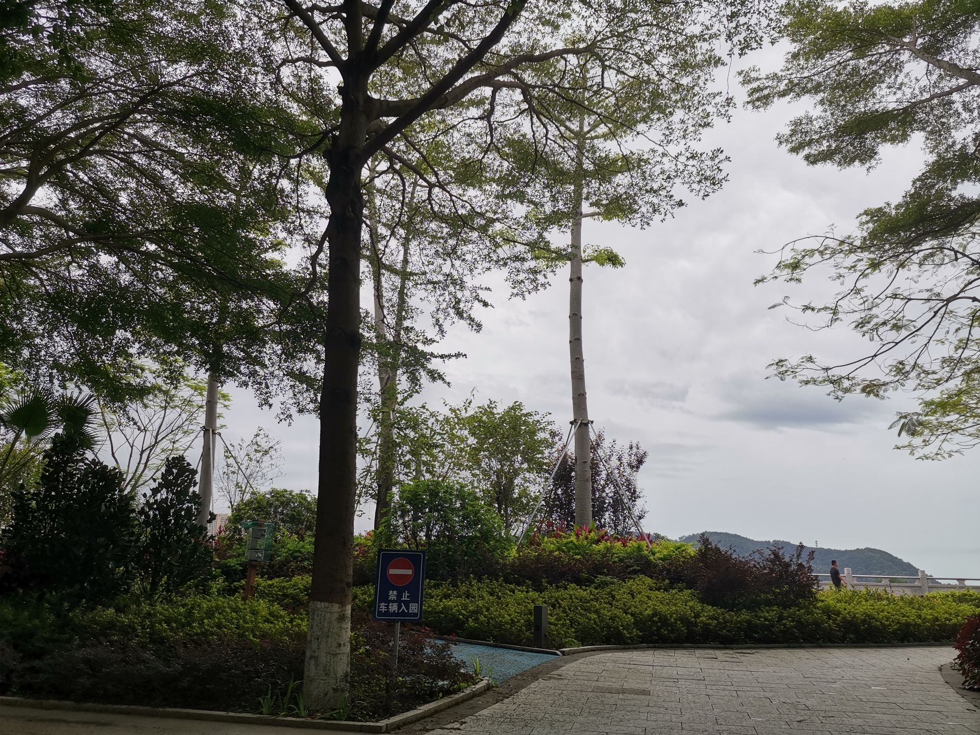 西堤公园(西堤二路)旅行图片