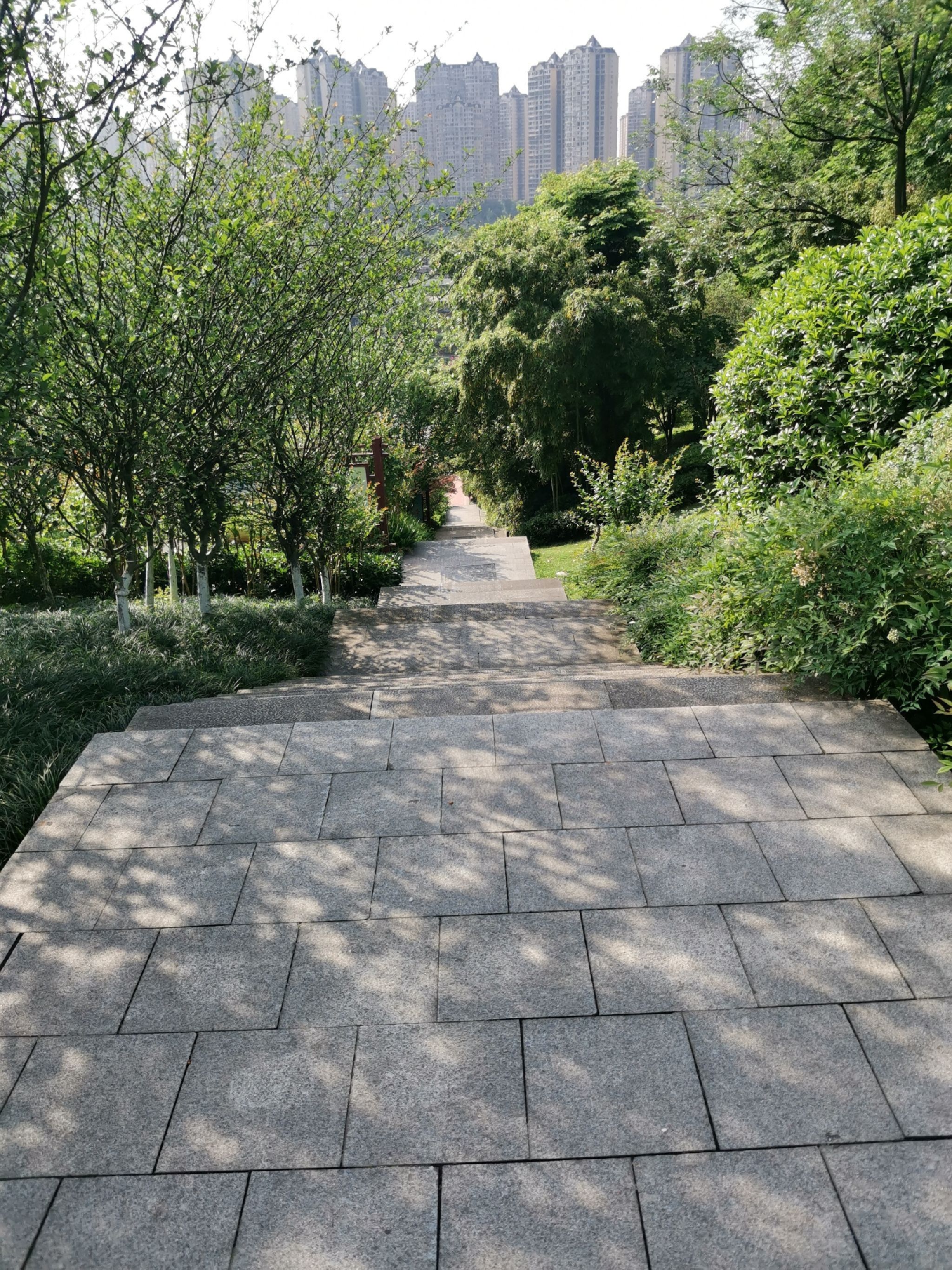 羊大山公园