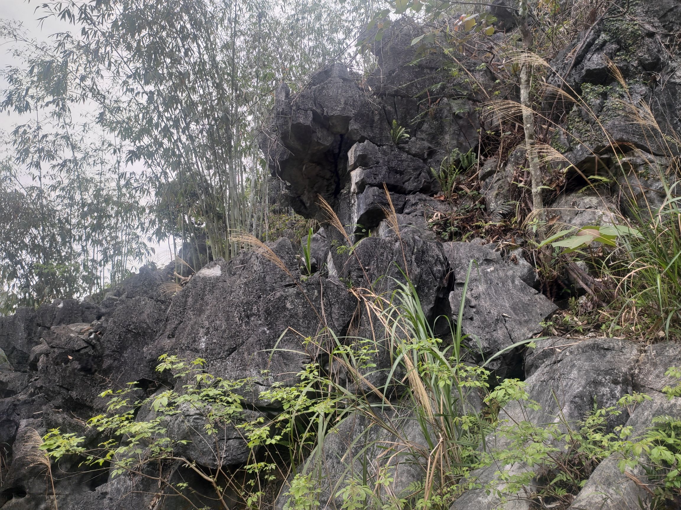 密洛陀文化公园旅行图片