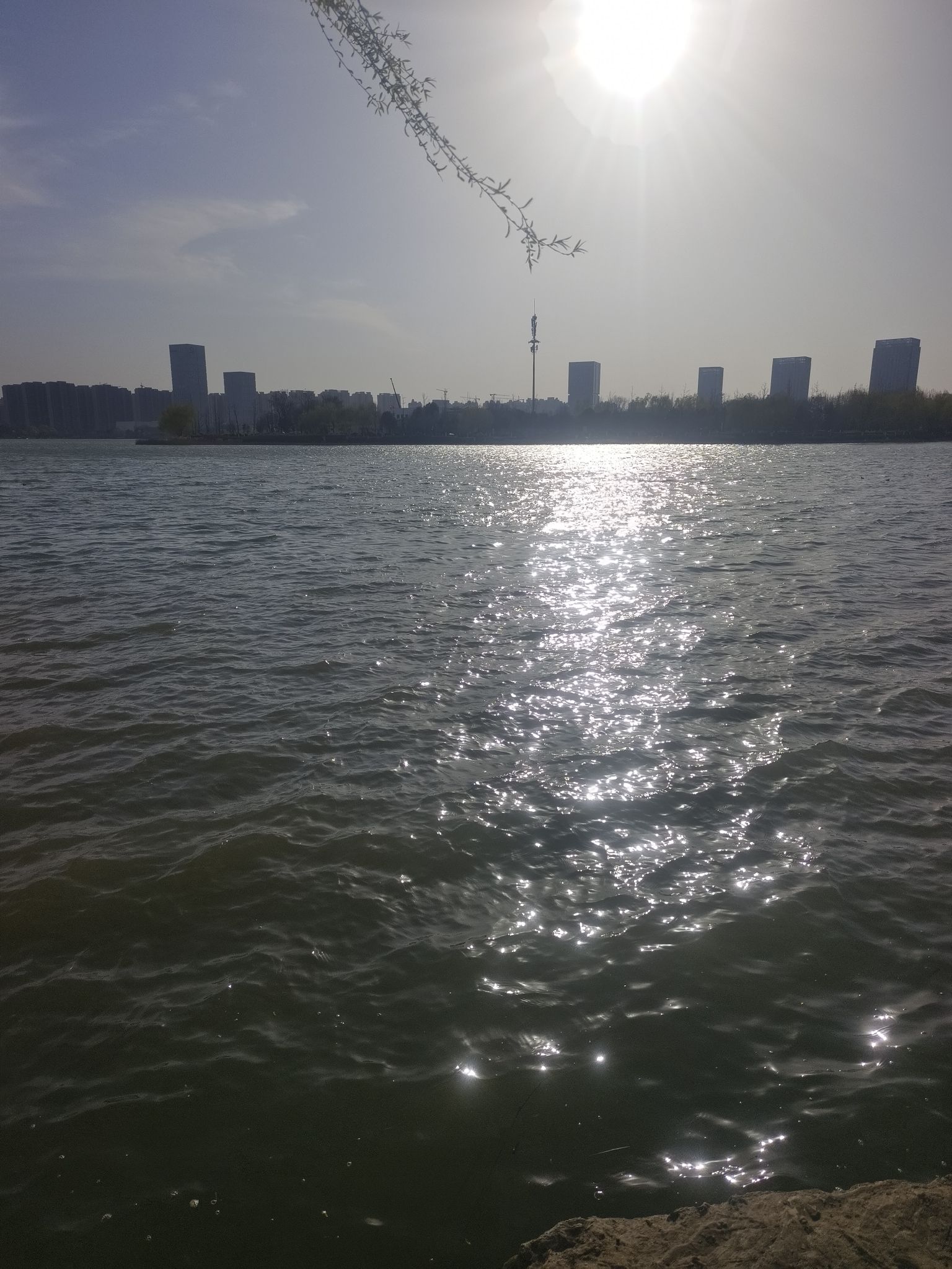商丘日月湖景区旅行图片