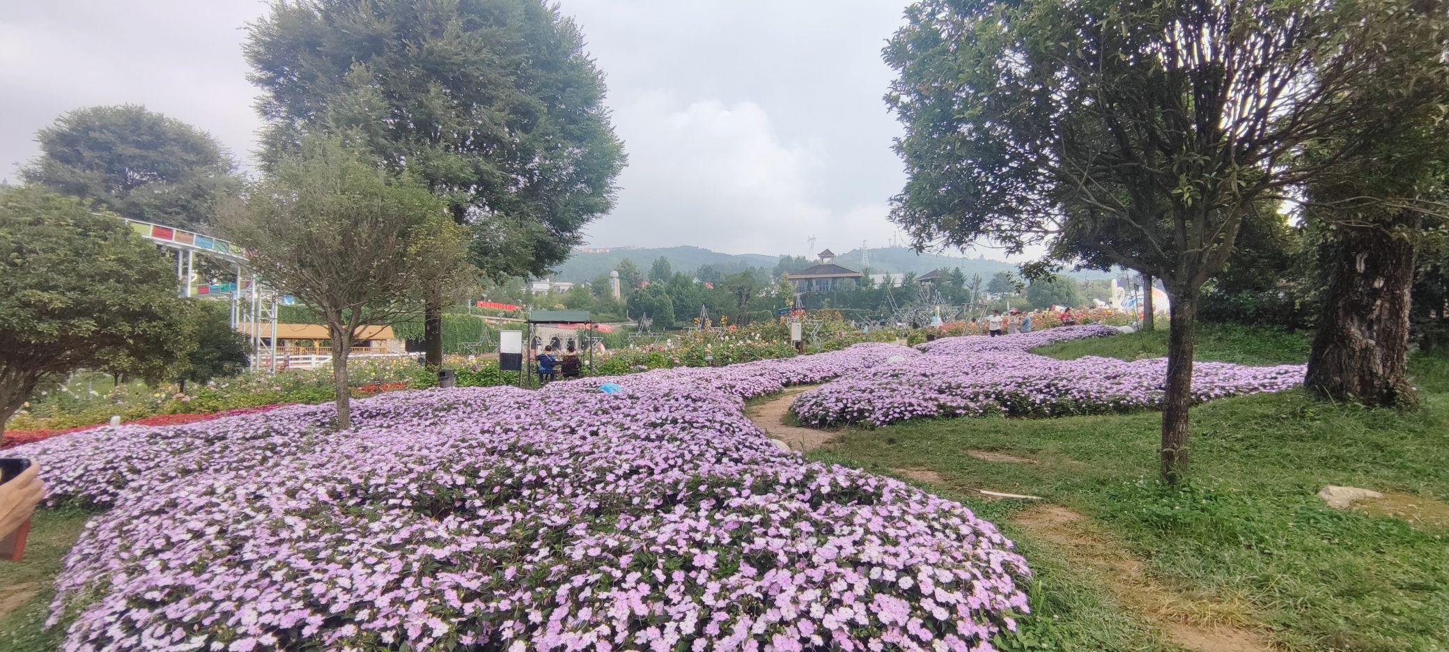 凉都花海温泉旅游度假区旅行图片