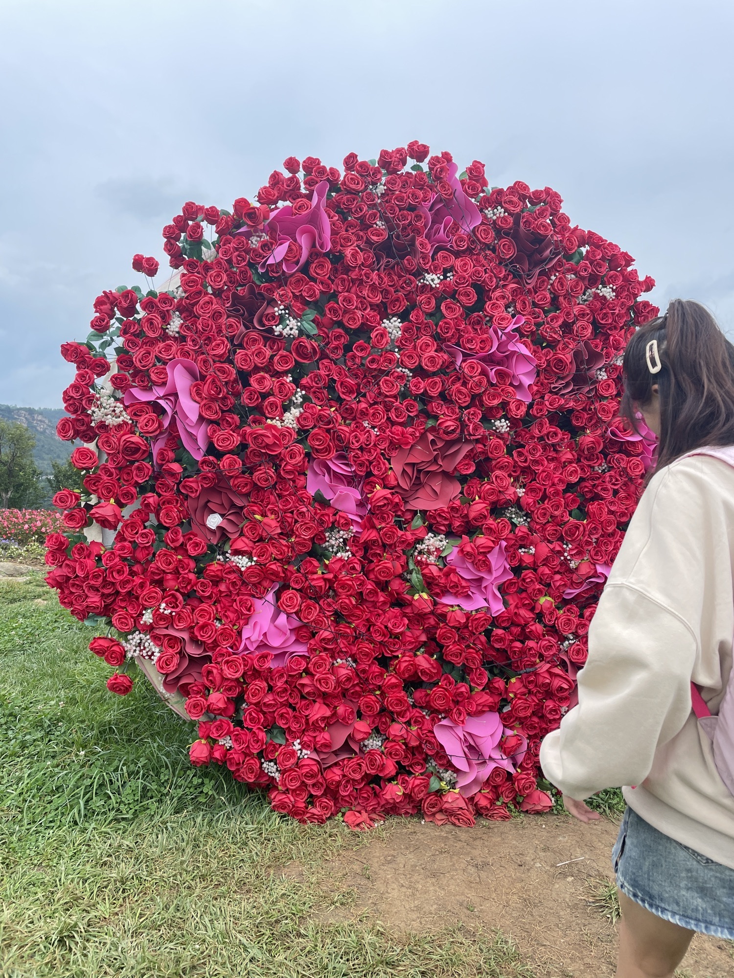 凉都花海温泉旅游度假区旅行图片