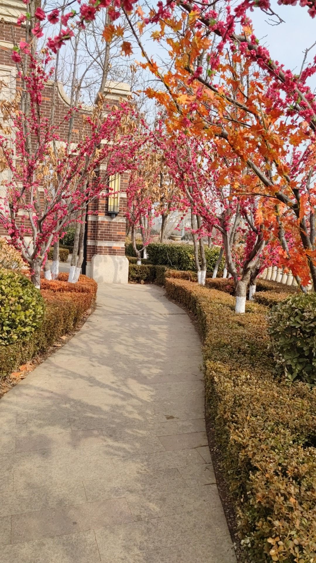 滨河公园