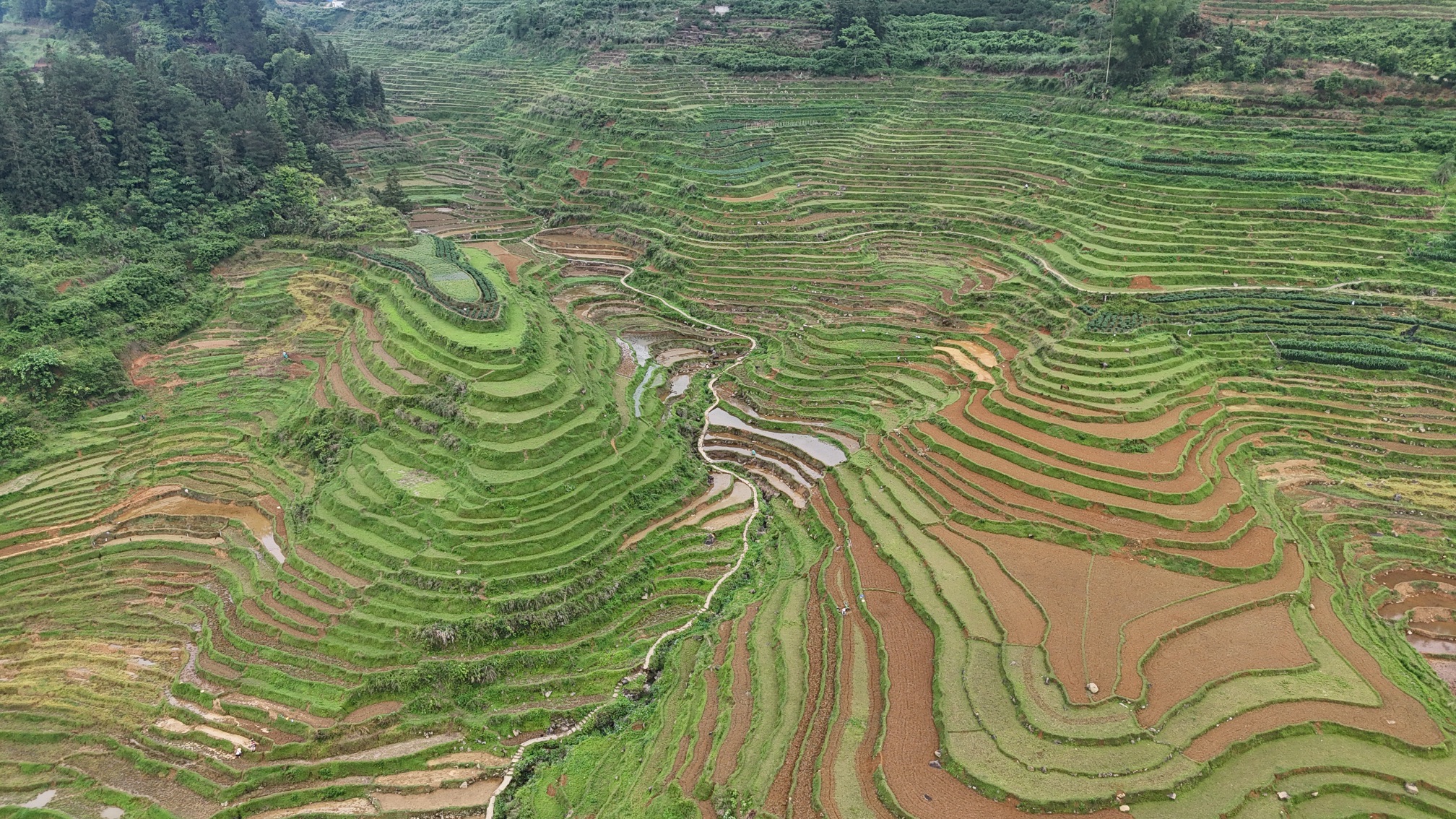 巴泽梯田