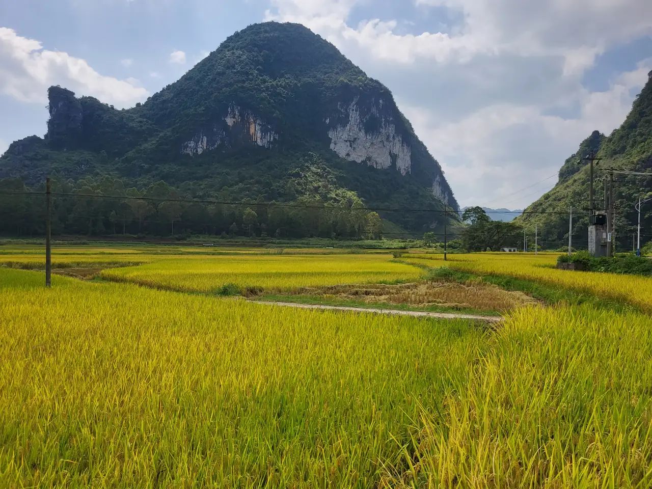 巴泽梯田旅行图片