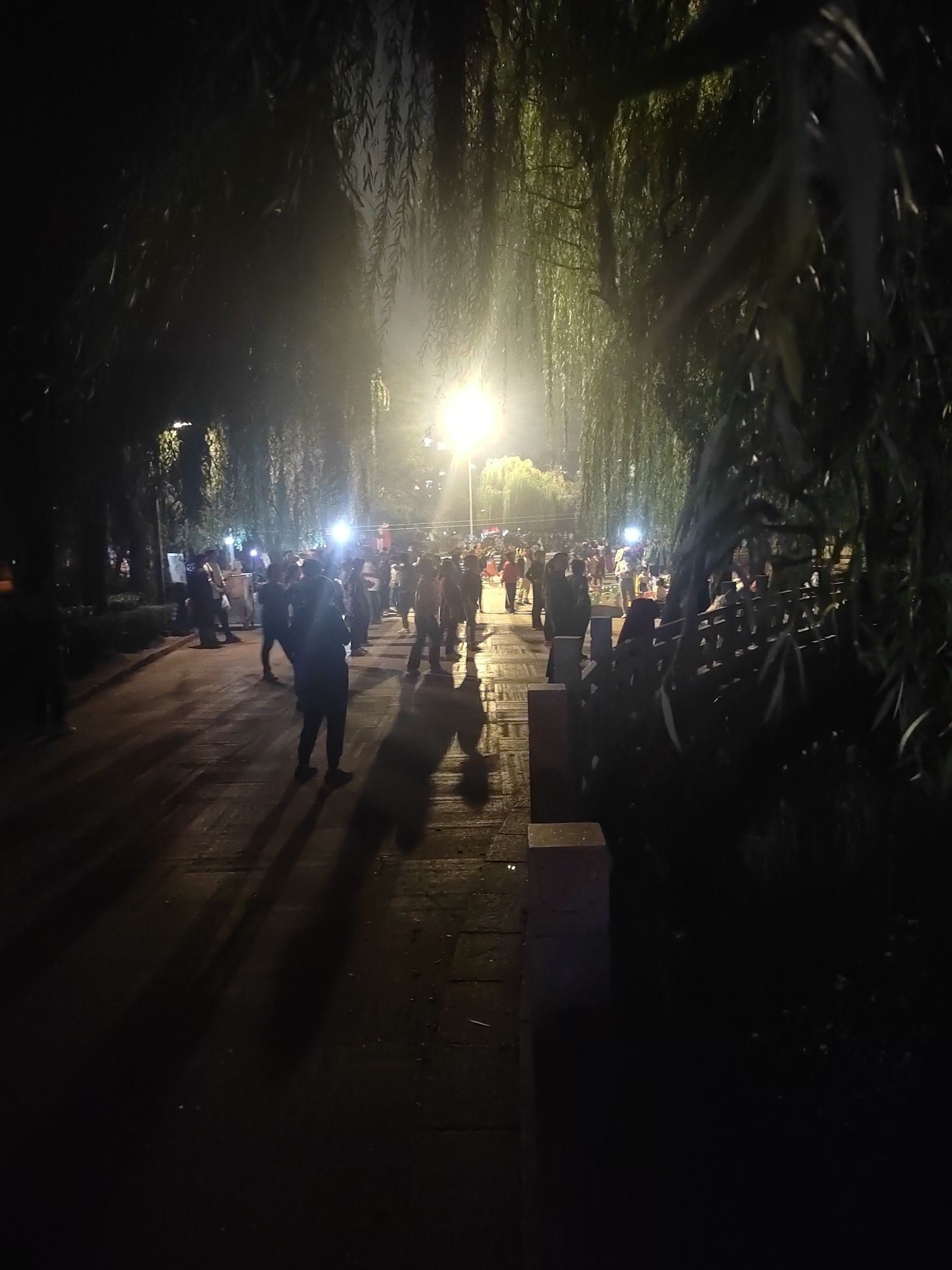 水上公园旅行图片