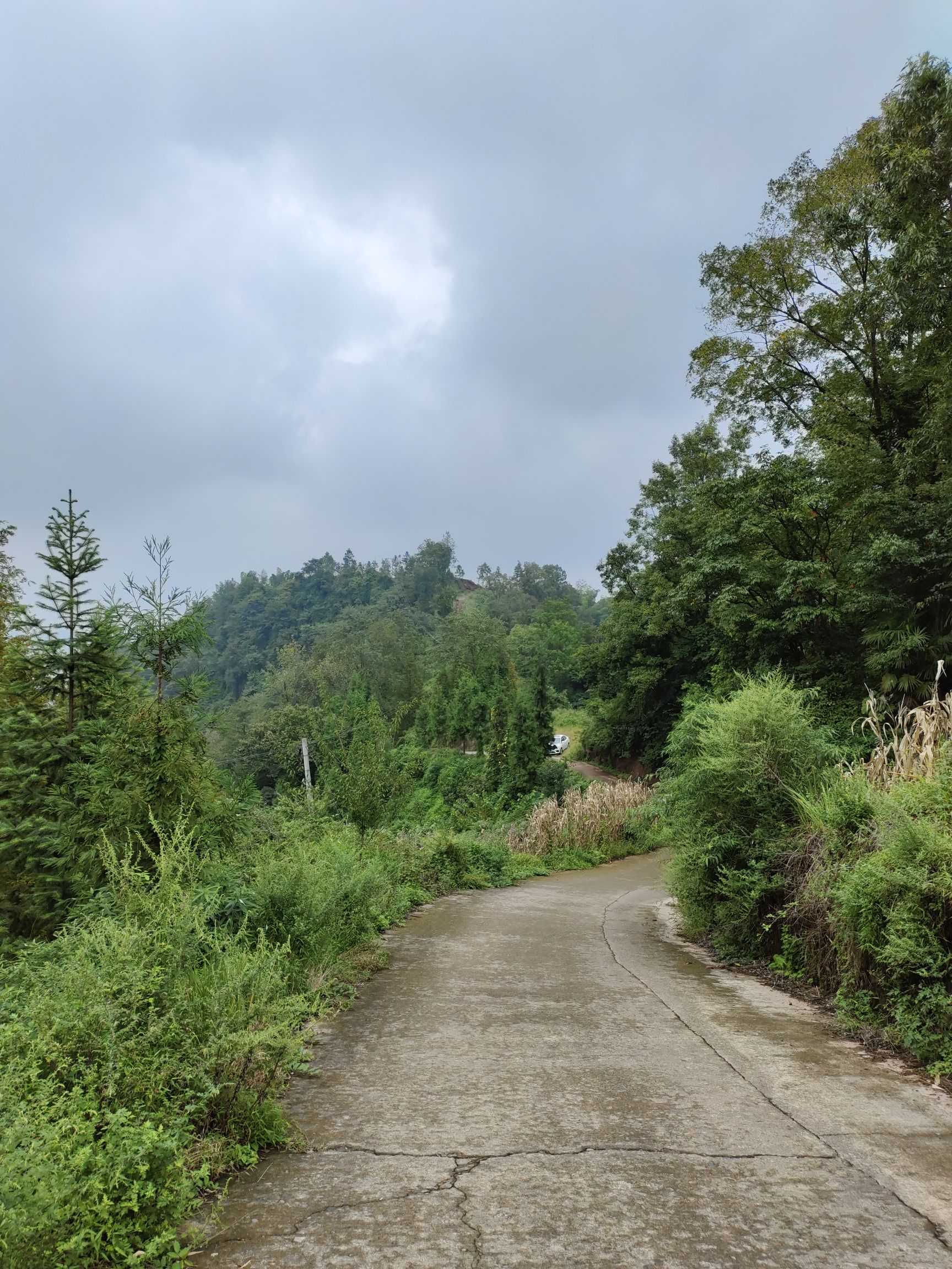 周公山温泉公园旅行图片