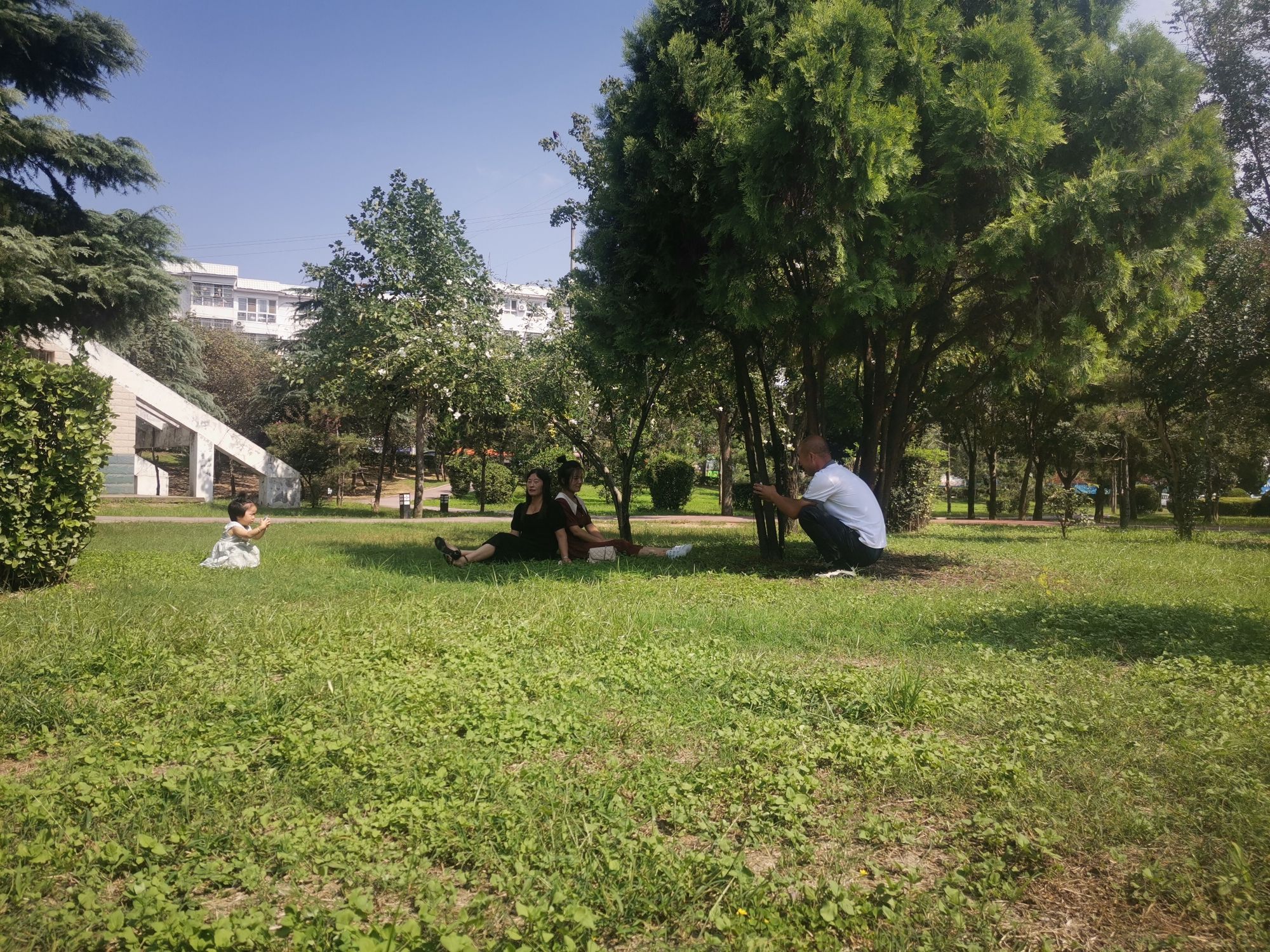 世纪广场党建主题公园