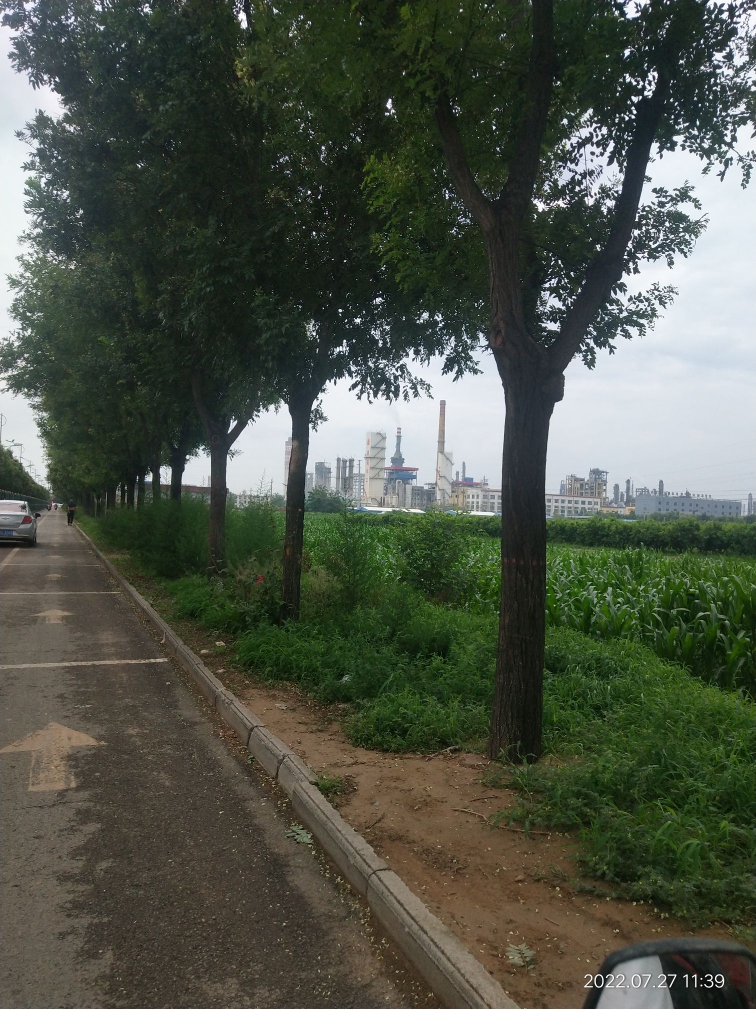 临猗涑水公园