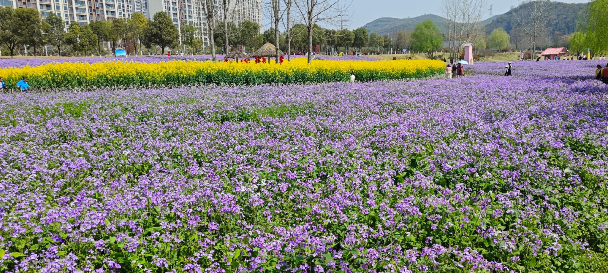 柏临河湿地公园旅行图片