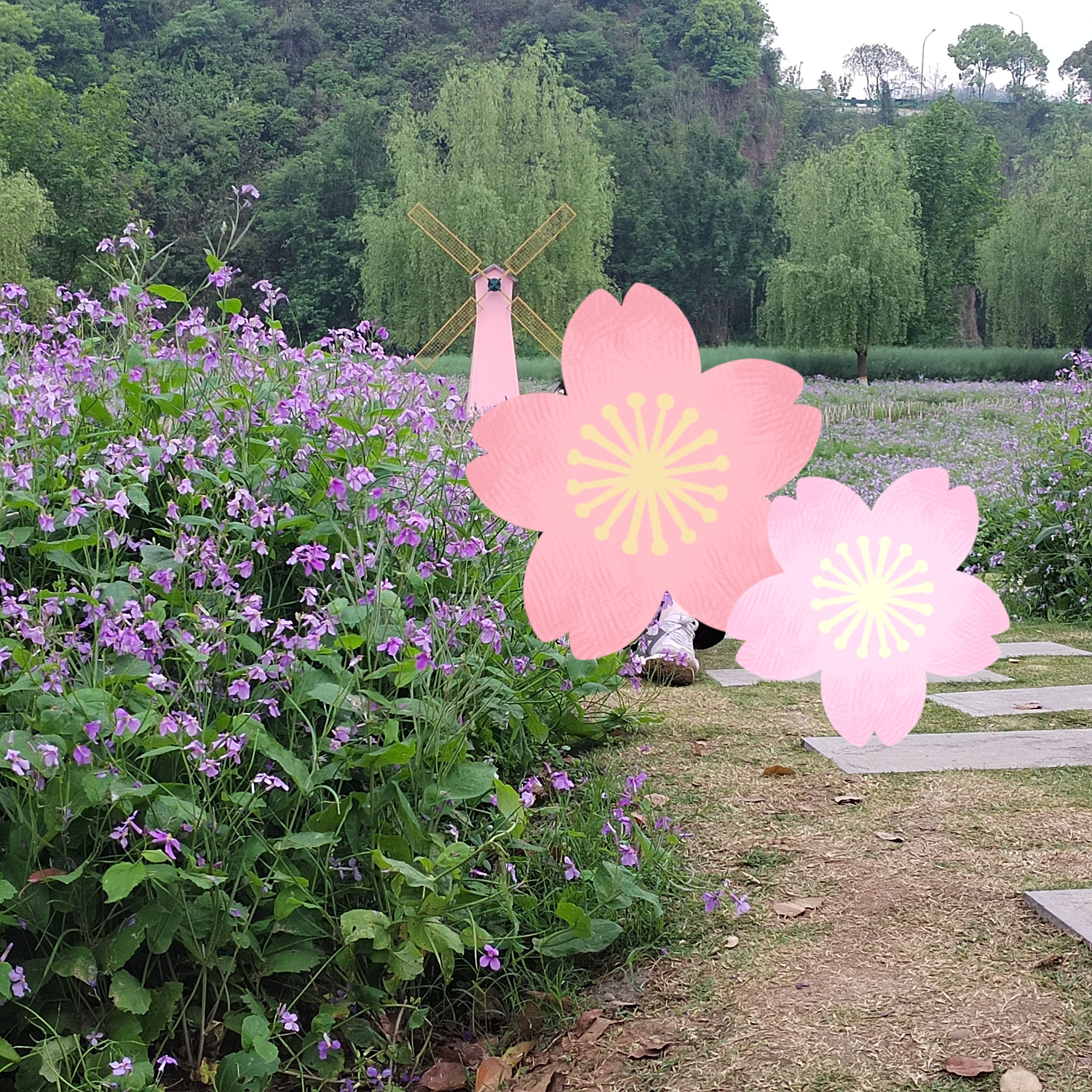 柏临河湿地公园旅行图片