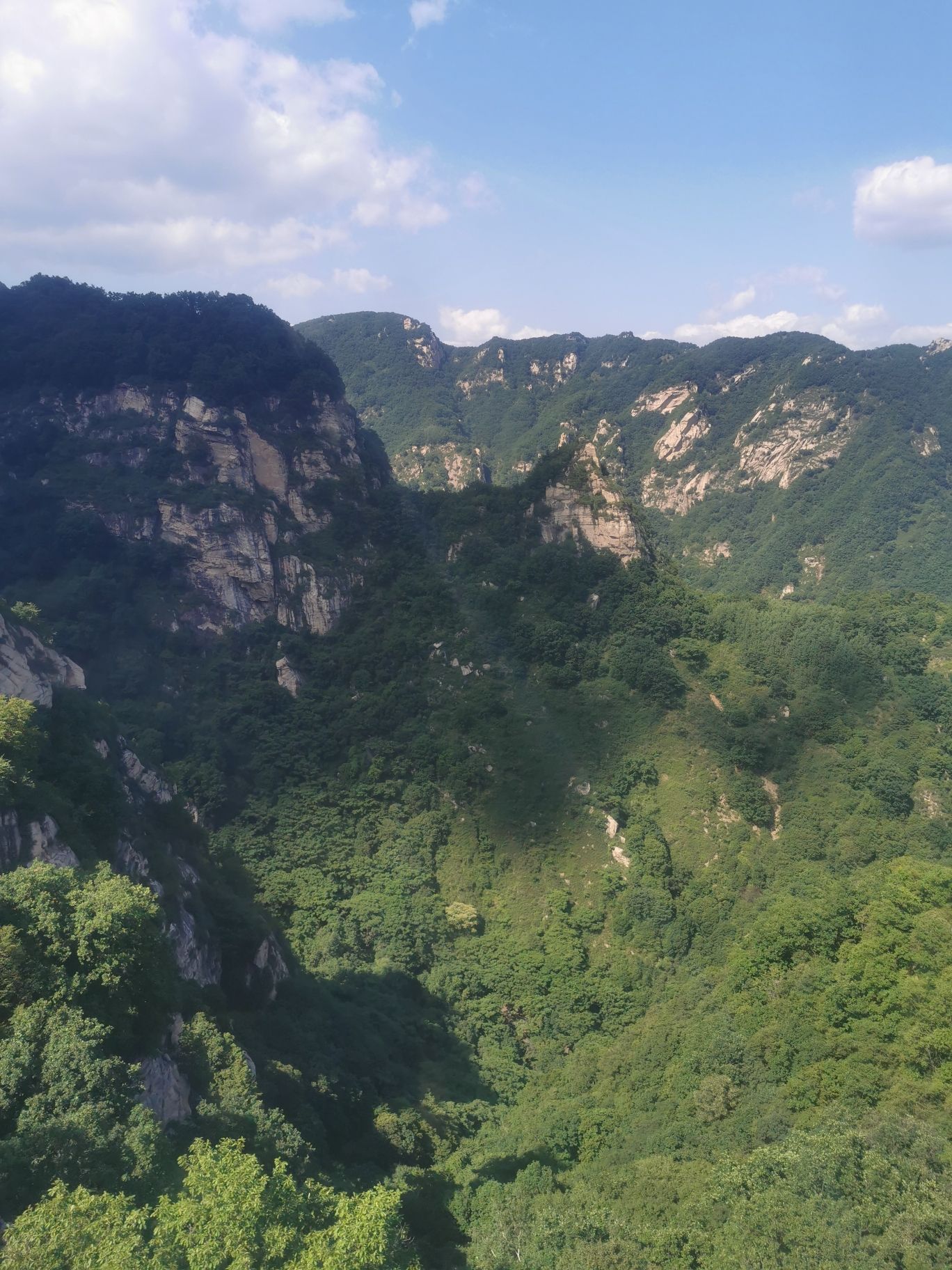 五岳寨国家森林公园(暂停开放)旅行图片