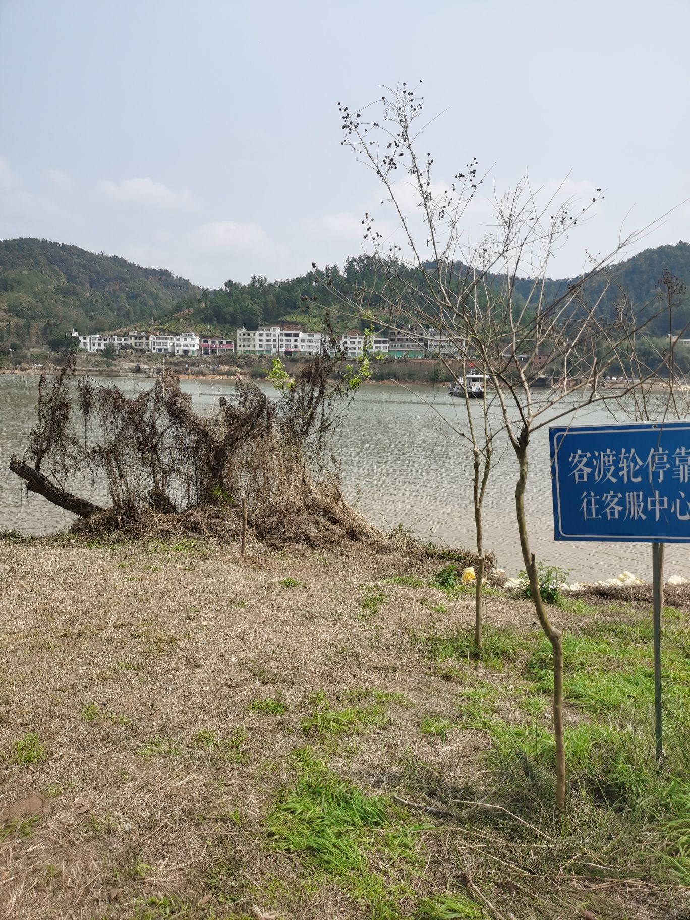 桃花岛旅行图片
