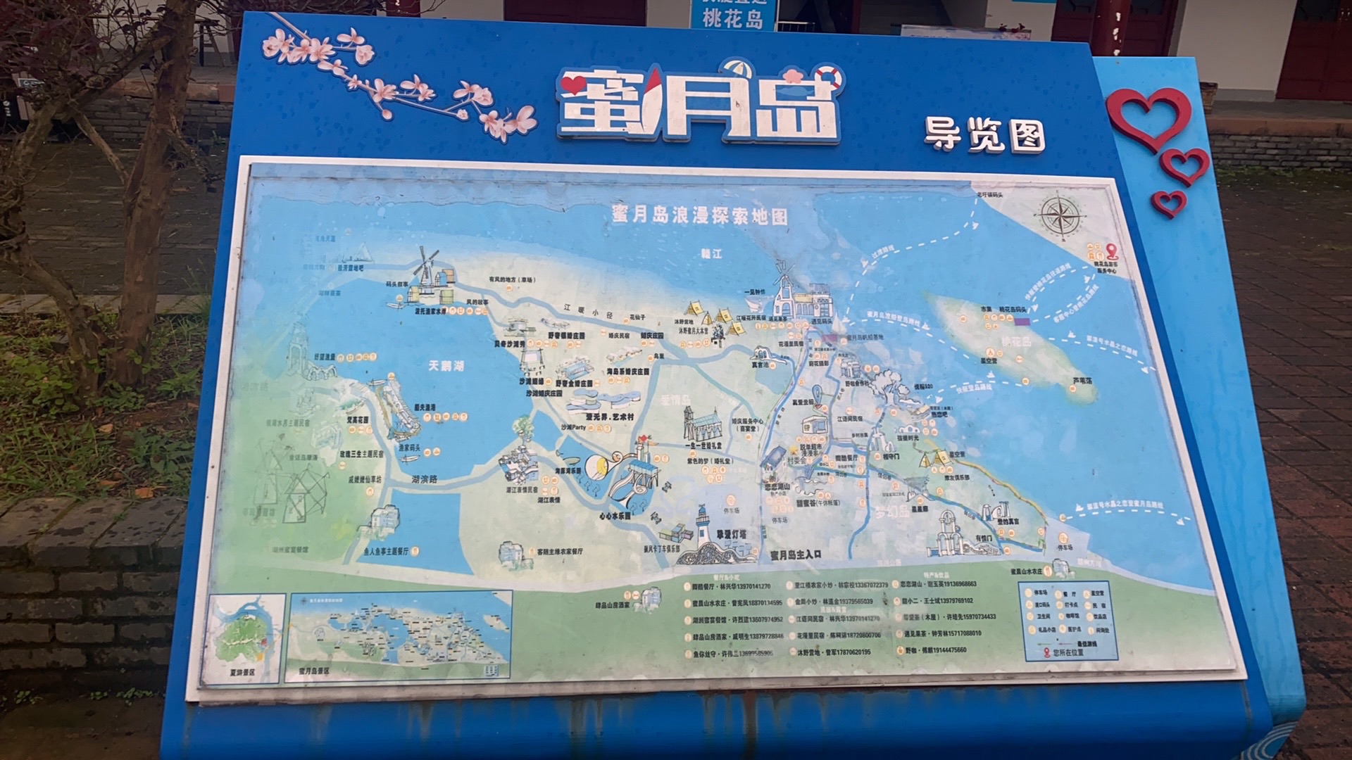 桃花岛旅行图片