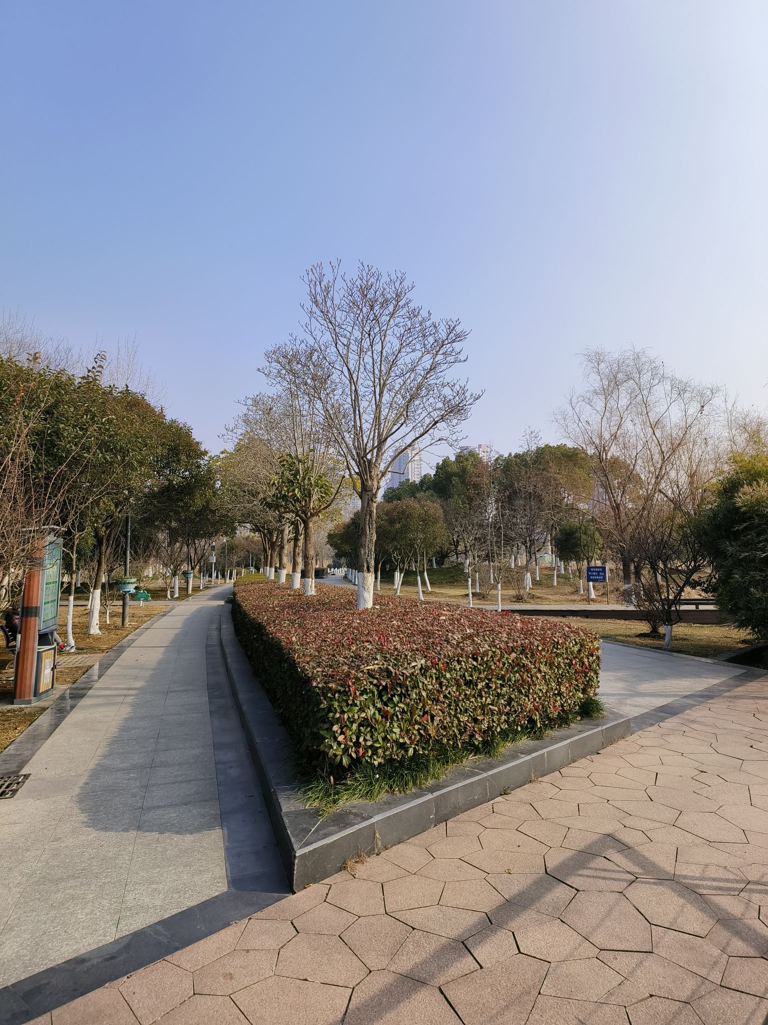莲花湖公园旅行图片