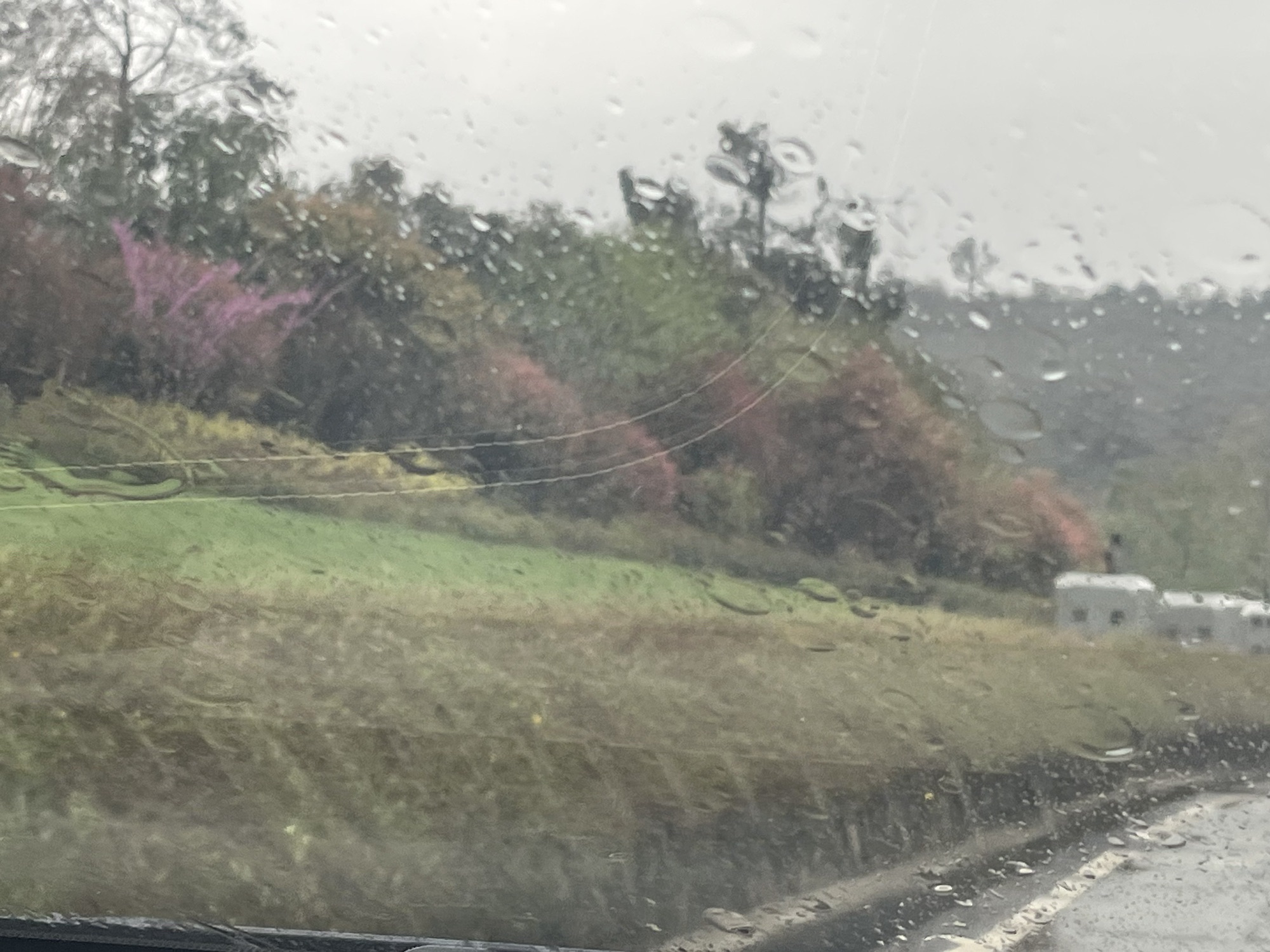 石门峰纪念公园旅行图片