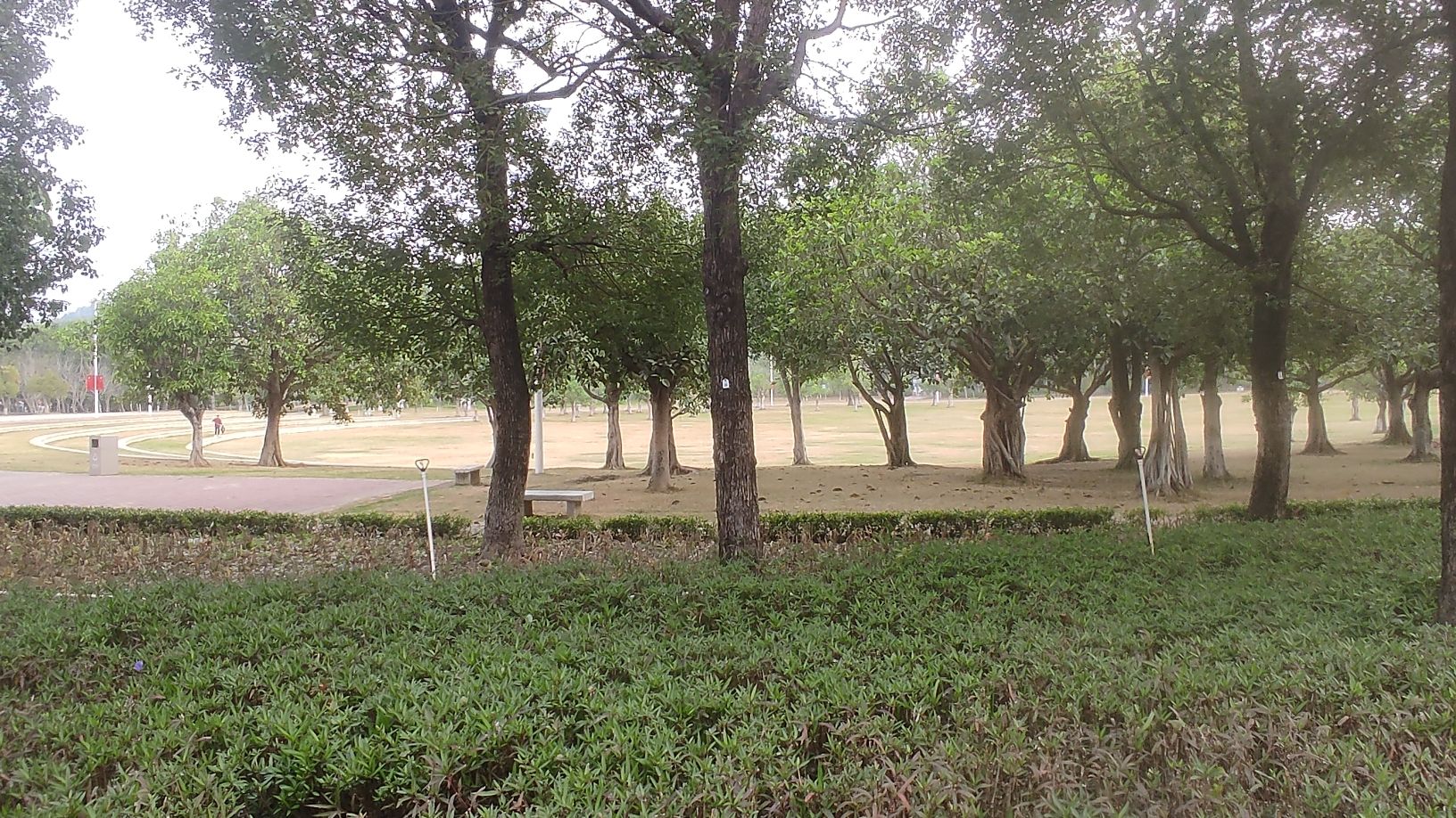红花岭公园旅行图片