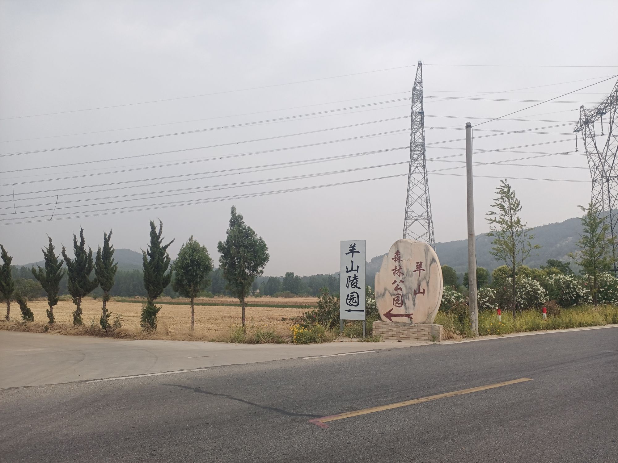 羊山森林公园旅行图片