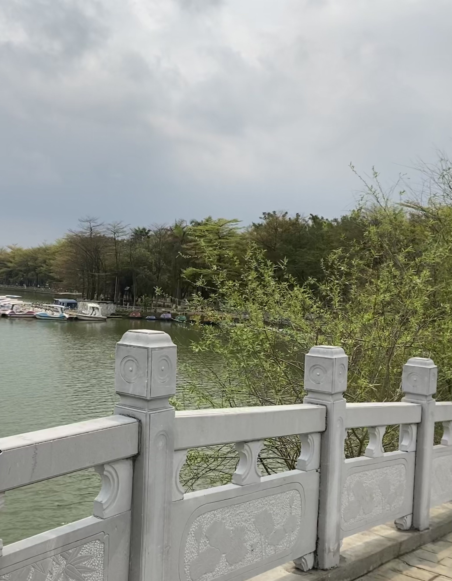 锦绣乡村九凌湖