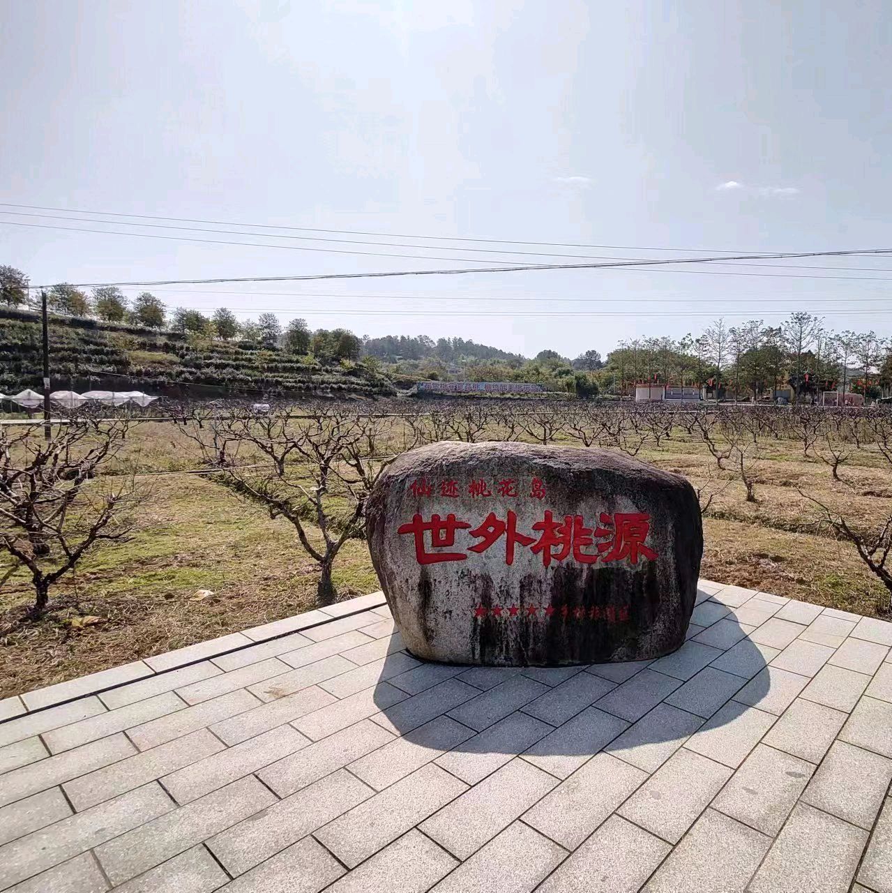 仙迹桃花岛