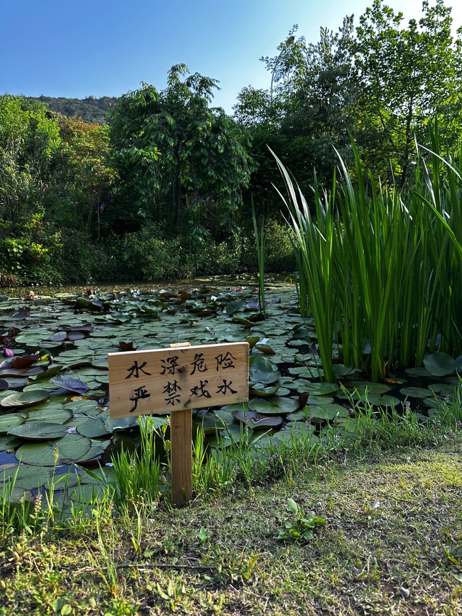 多多花园旅行图片