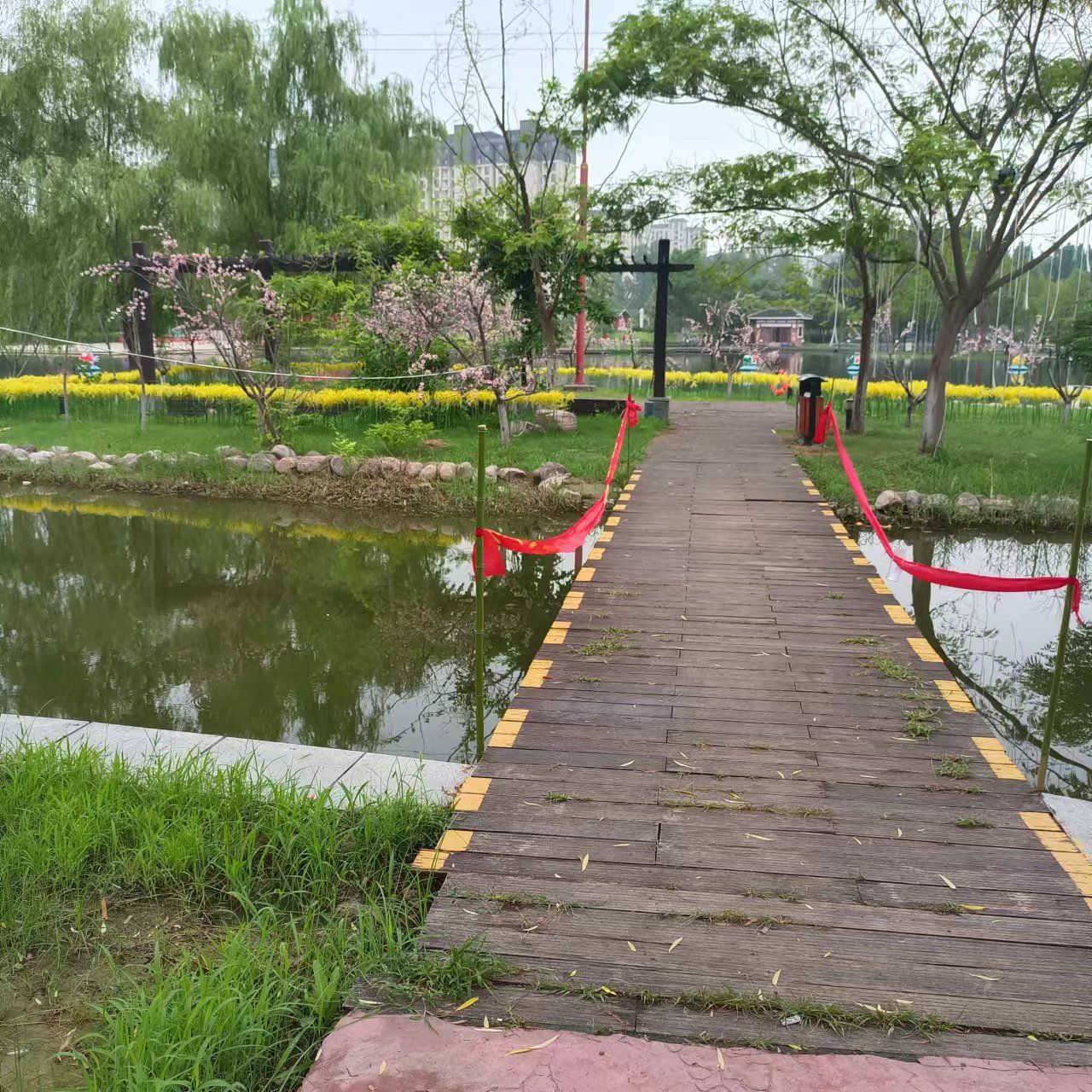 商丘华夏游乐园旅行图片
