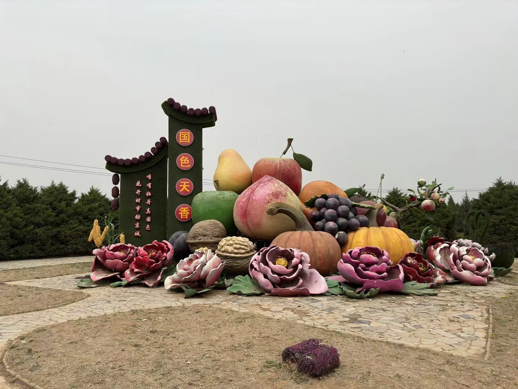 国色天香-牡丹园旅行图片