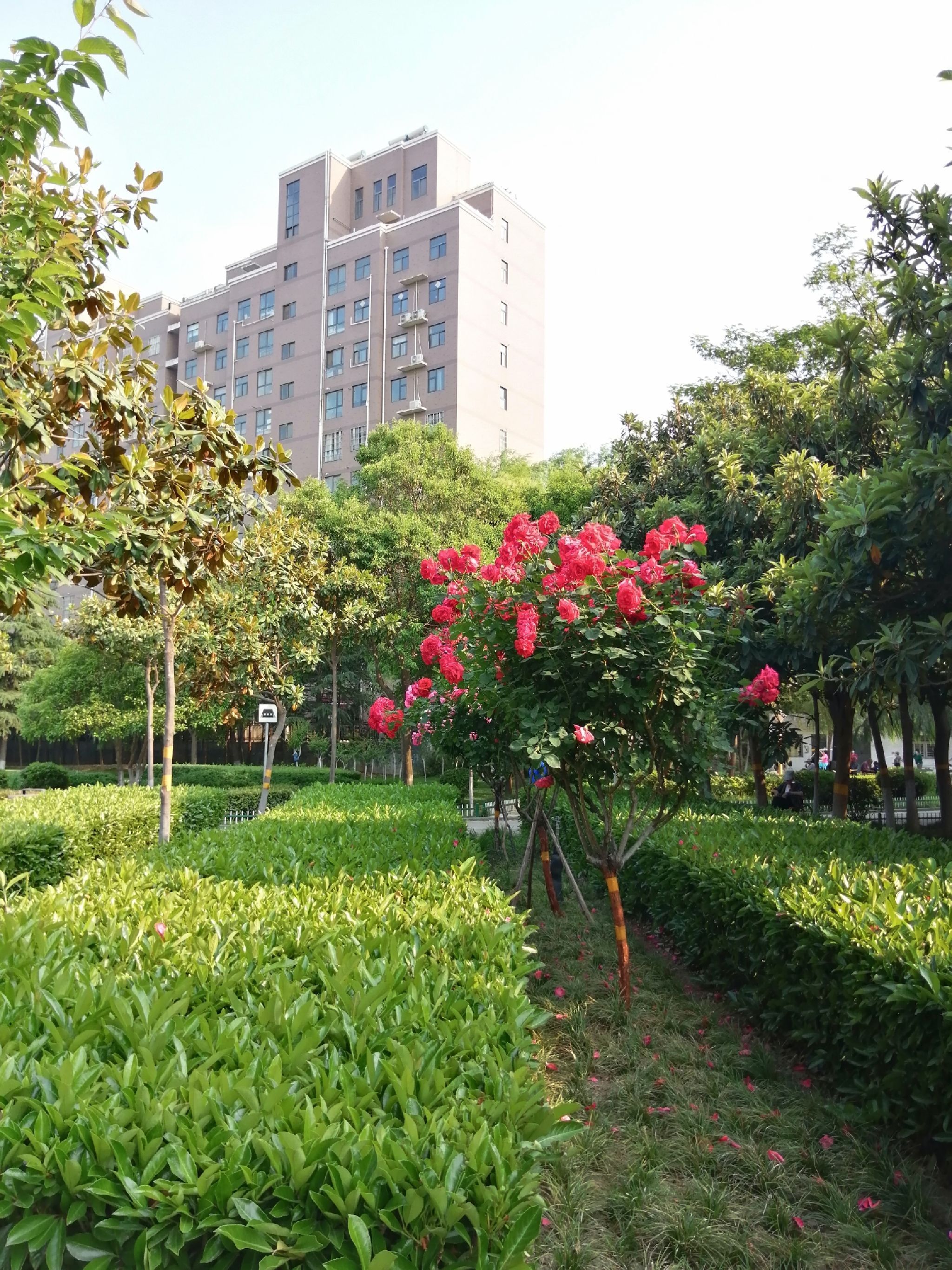 法治公园(金屏路)