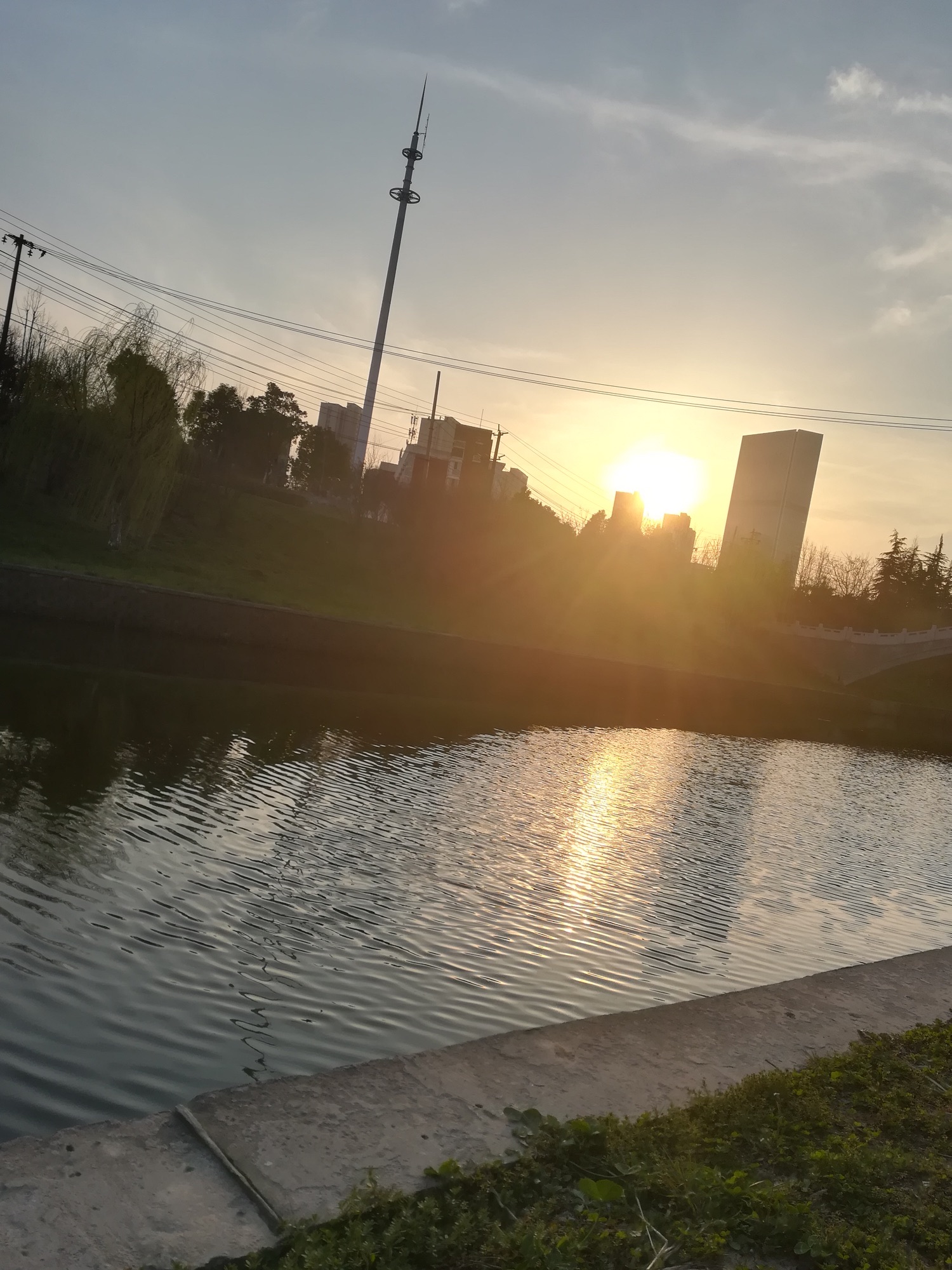 四里河滨水生态公园旅行图片