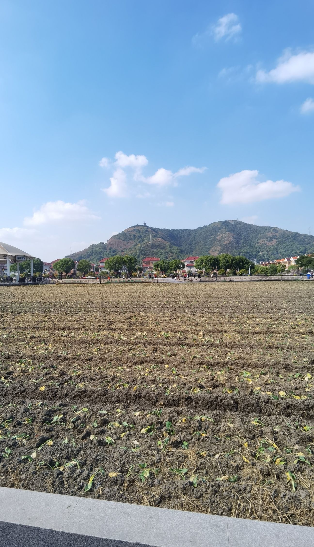 航民田园广场旅行图片