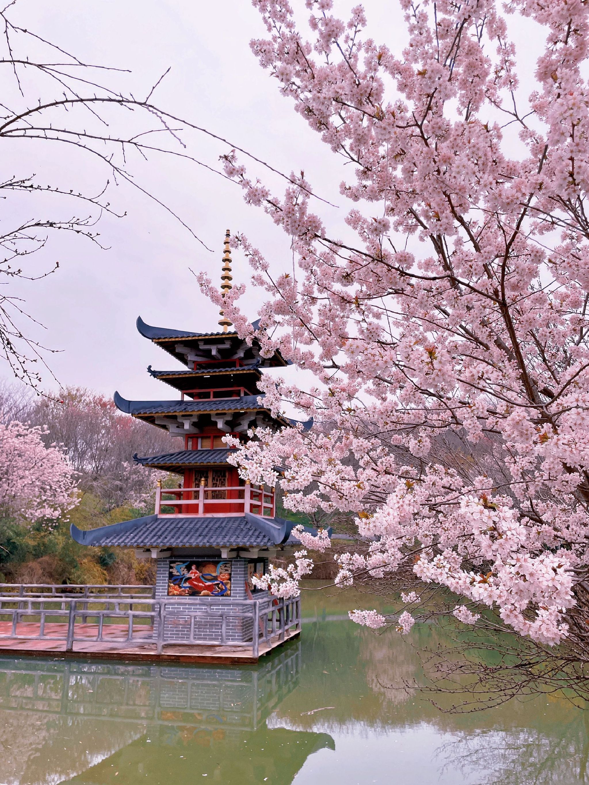 杭州樱花园