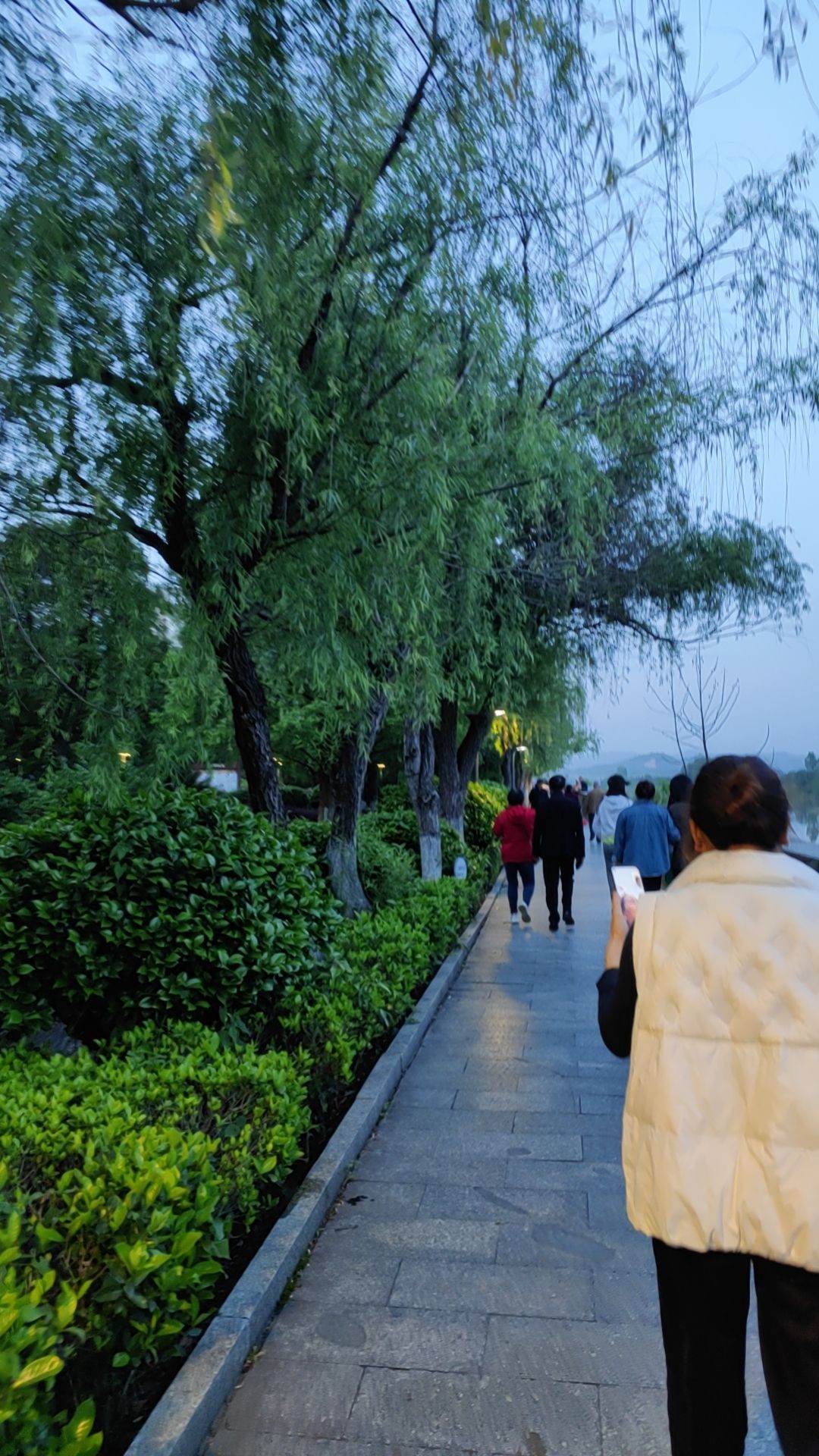 滨江公园