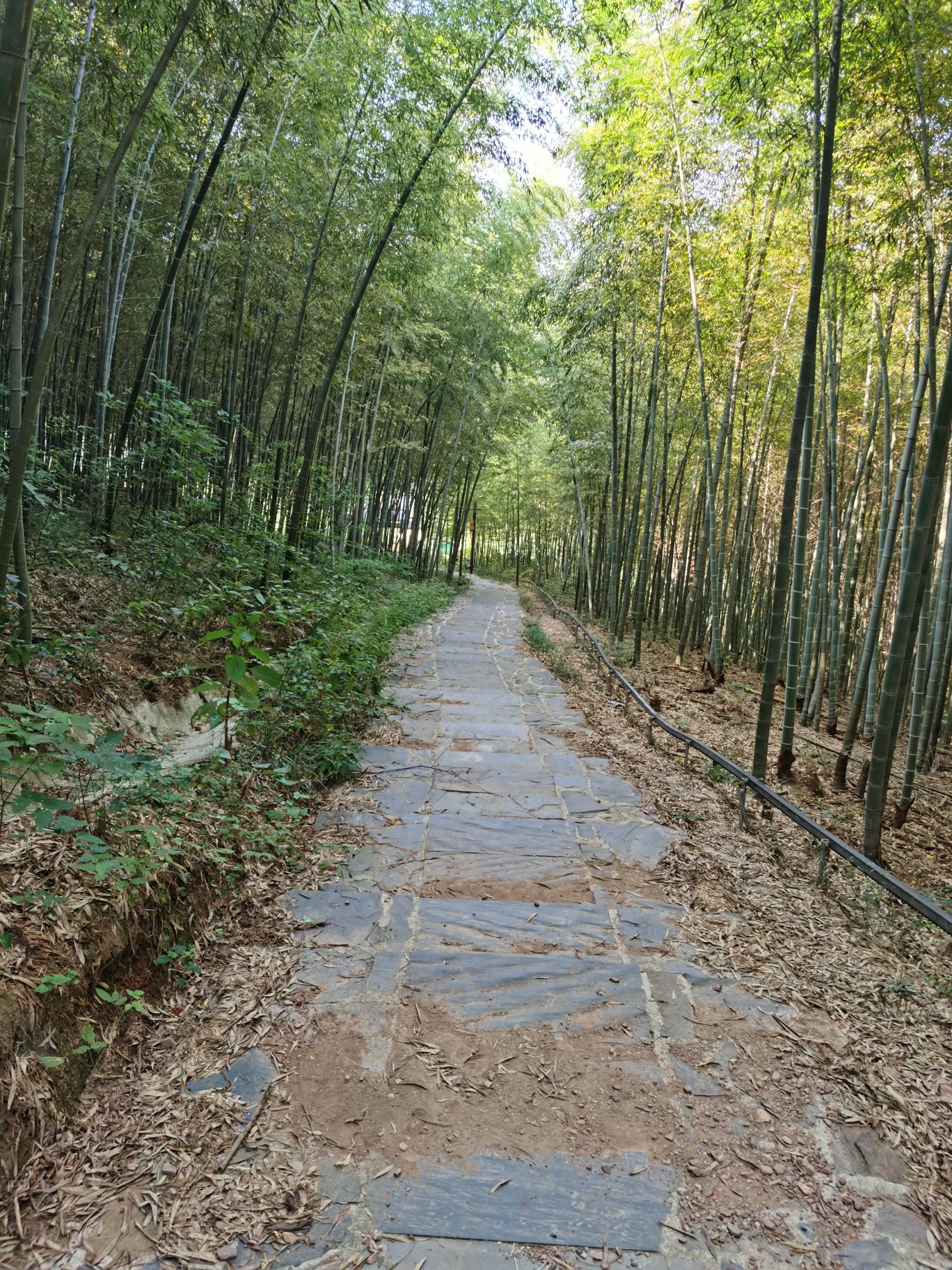 伍员山景区