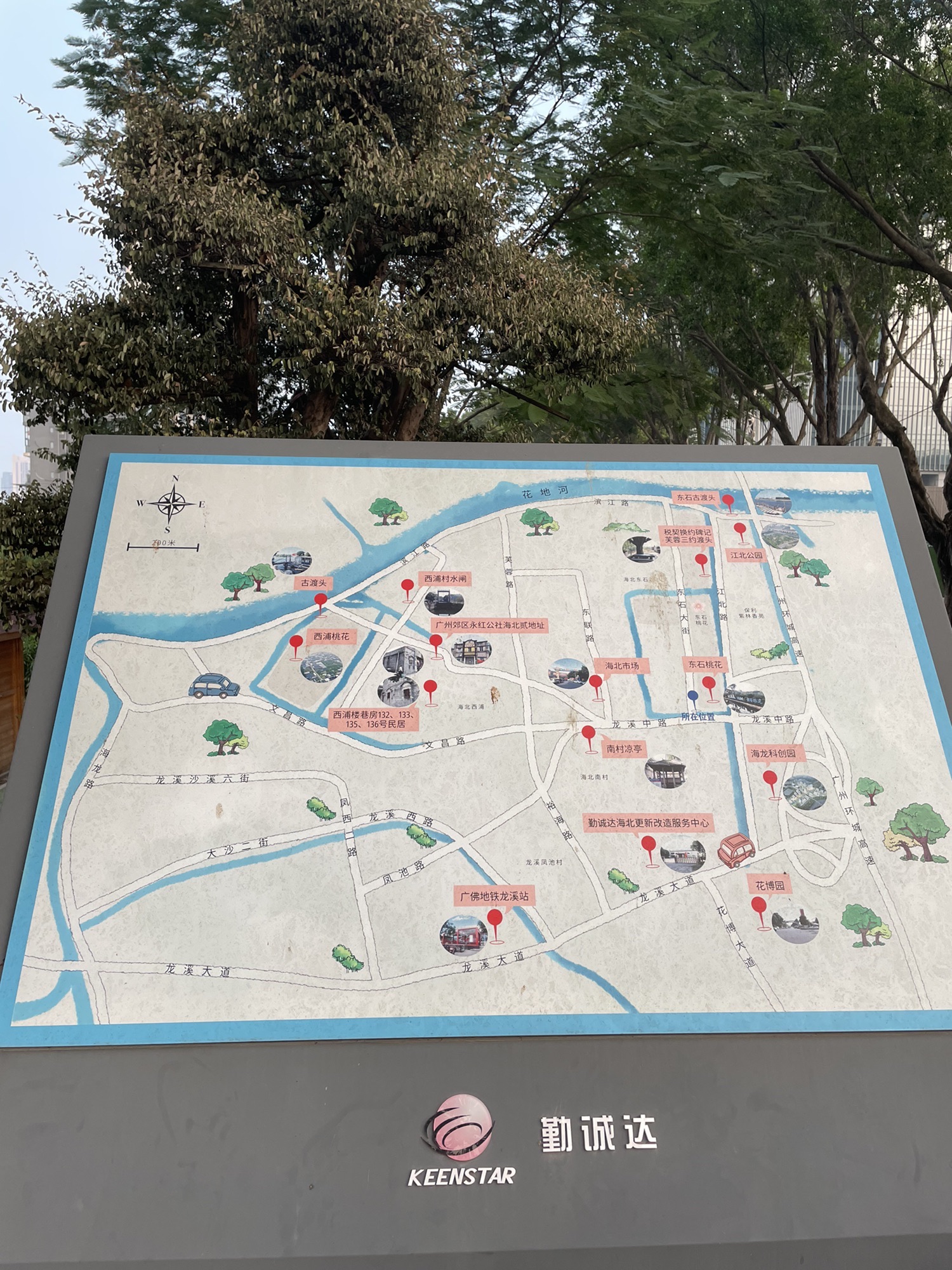荔湾区海北东石桃花公园旅行图片